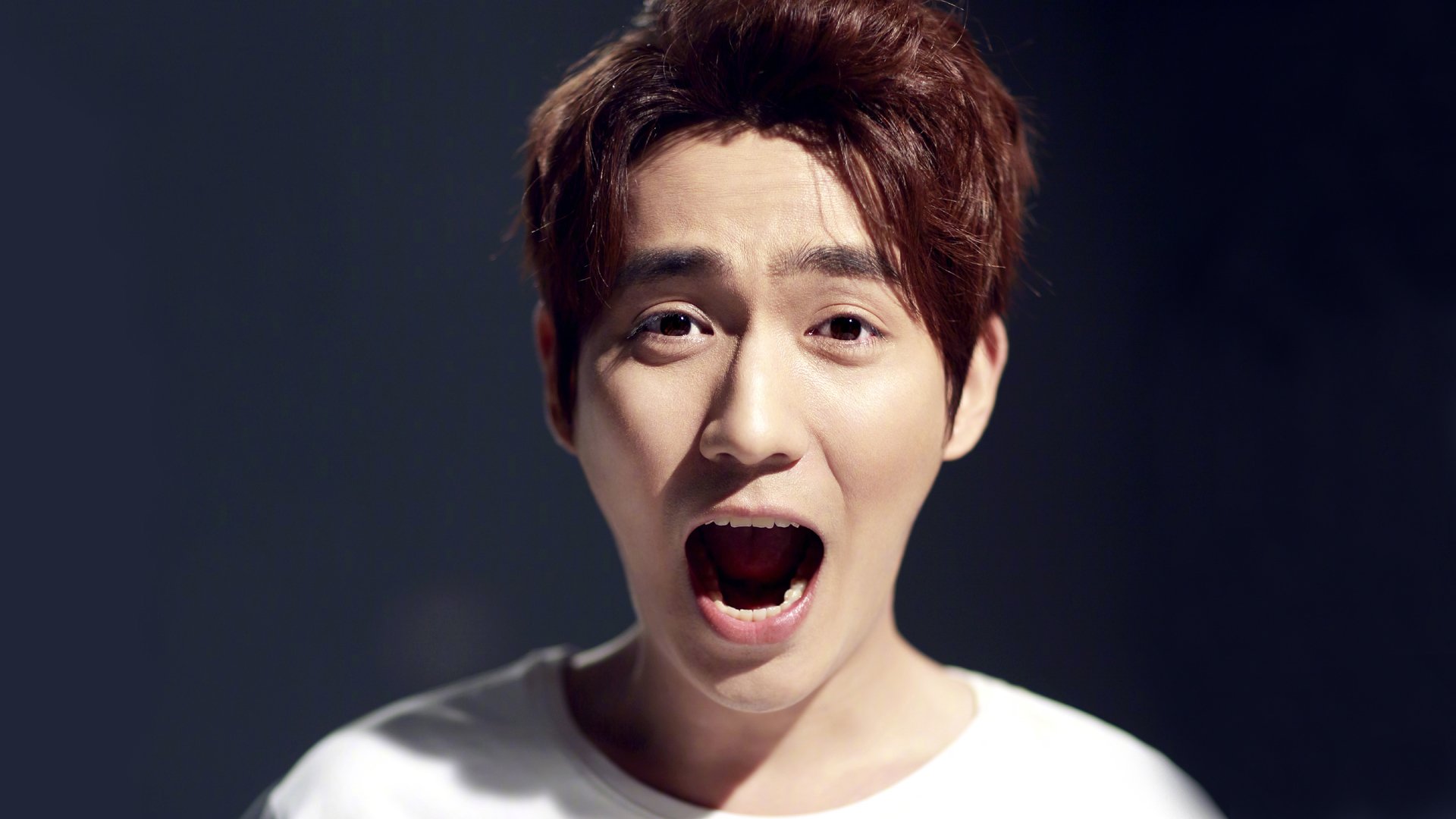 内地明星,朱一龙