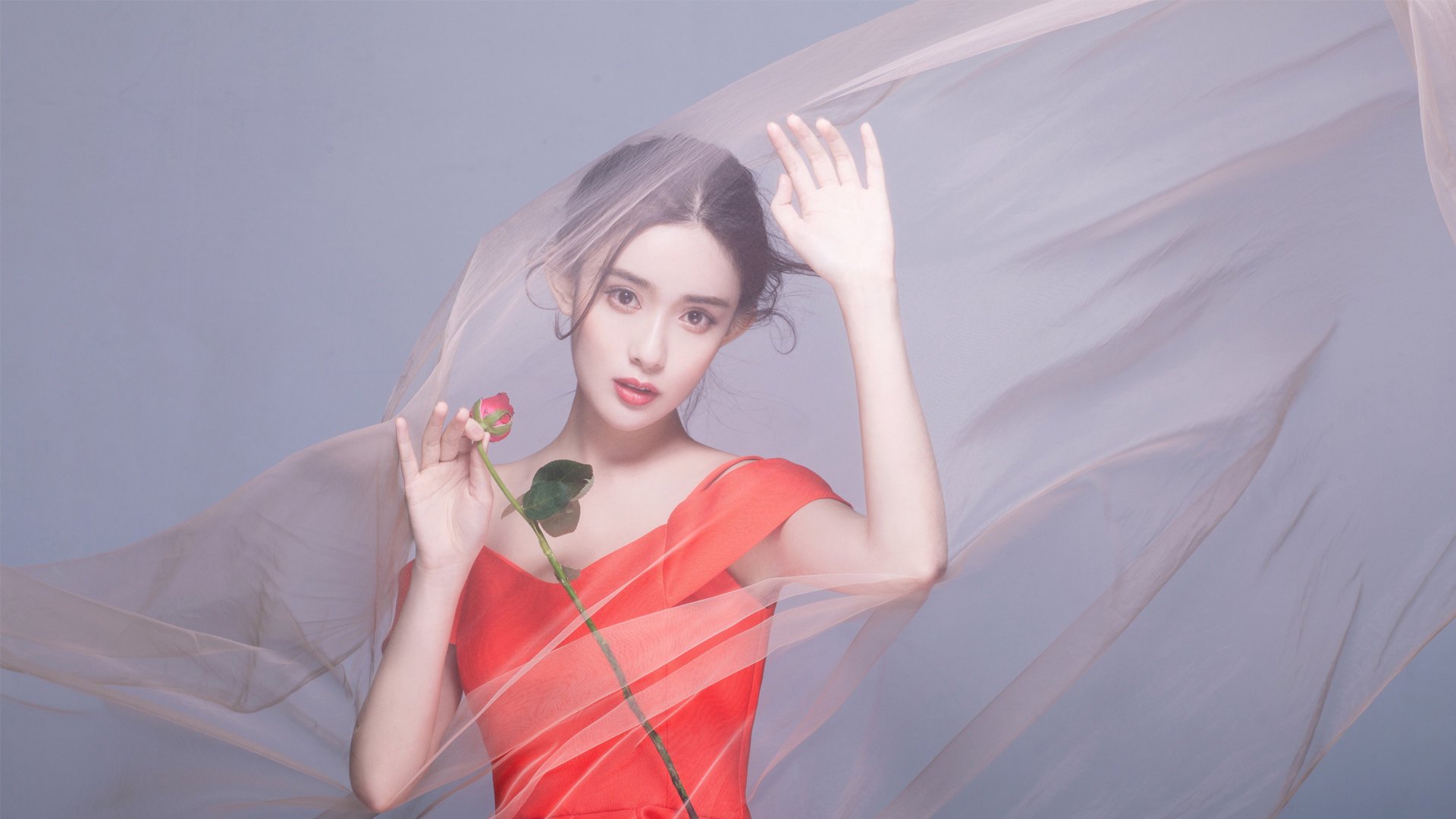 内地明星,孟子义