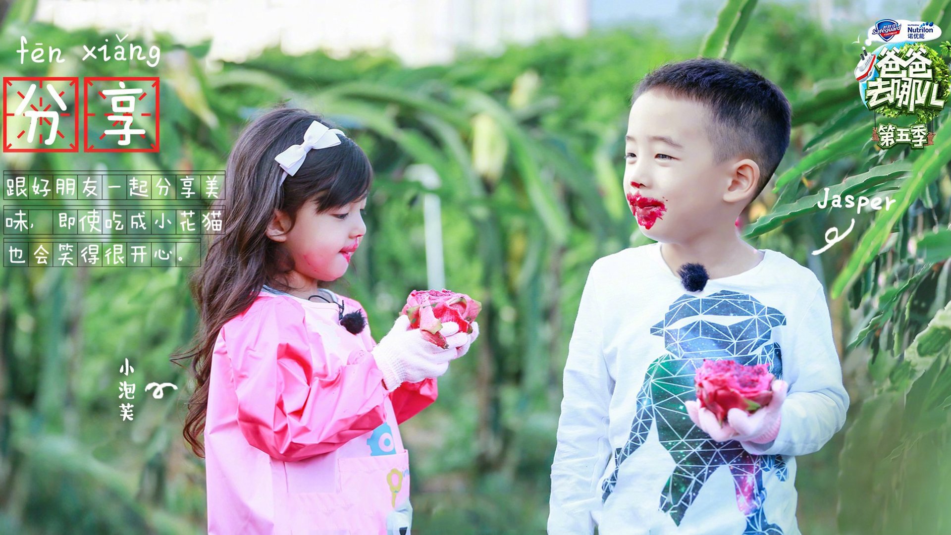 影视,综艺,爸爸去哪儿