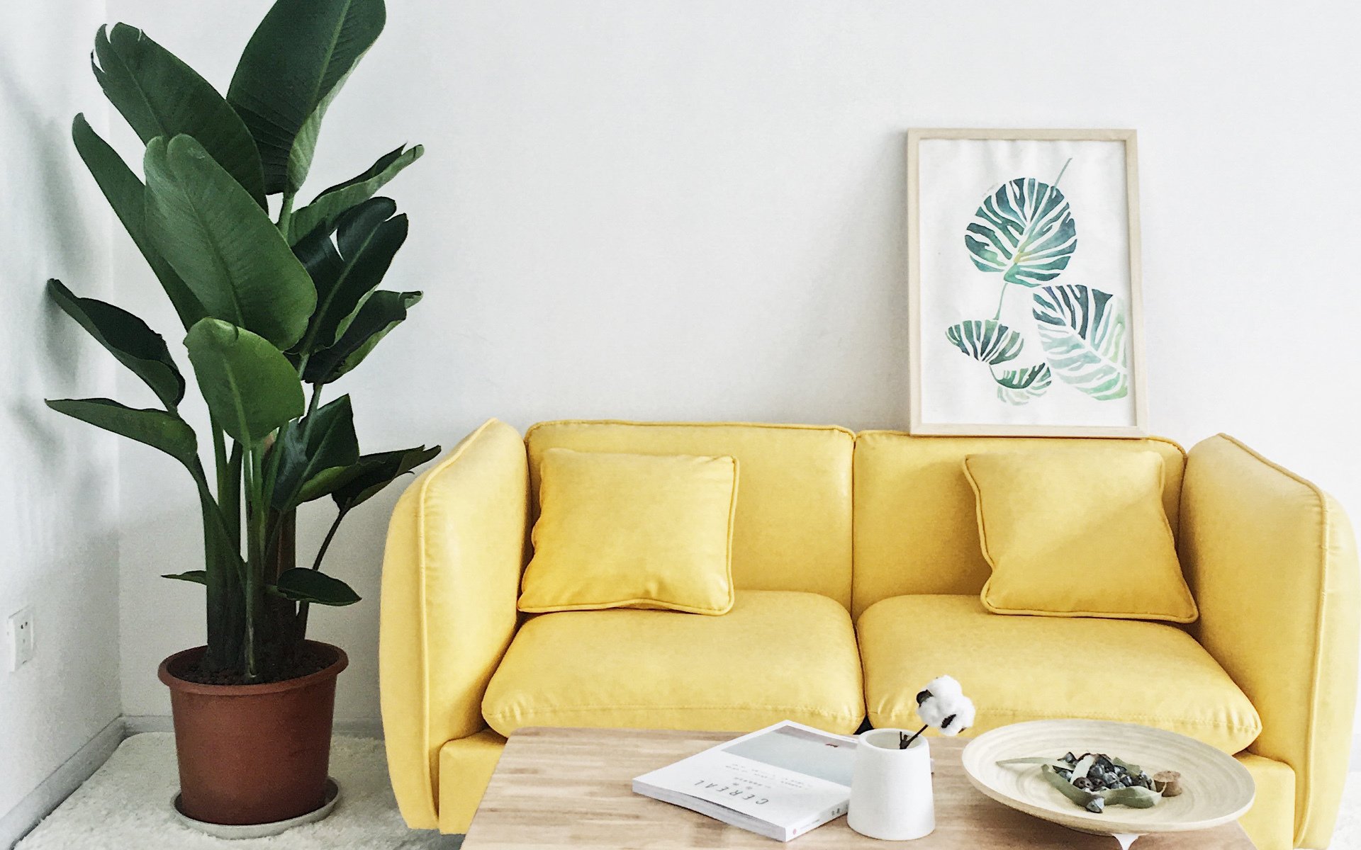 小清新,沙发,日系