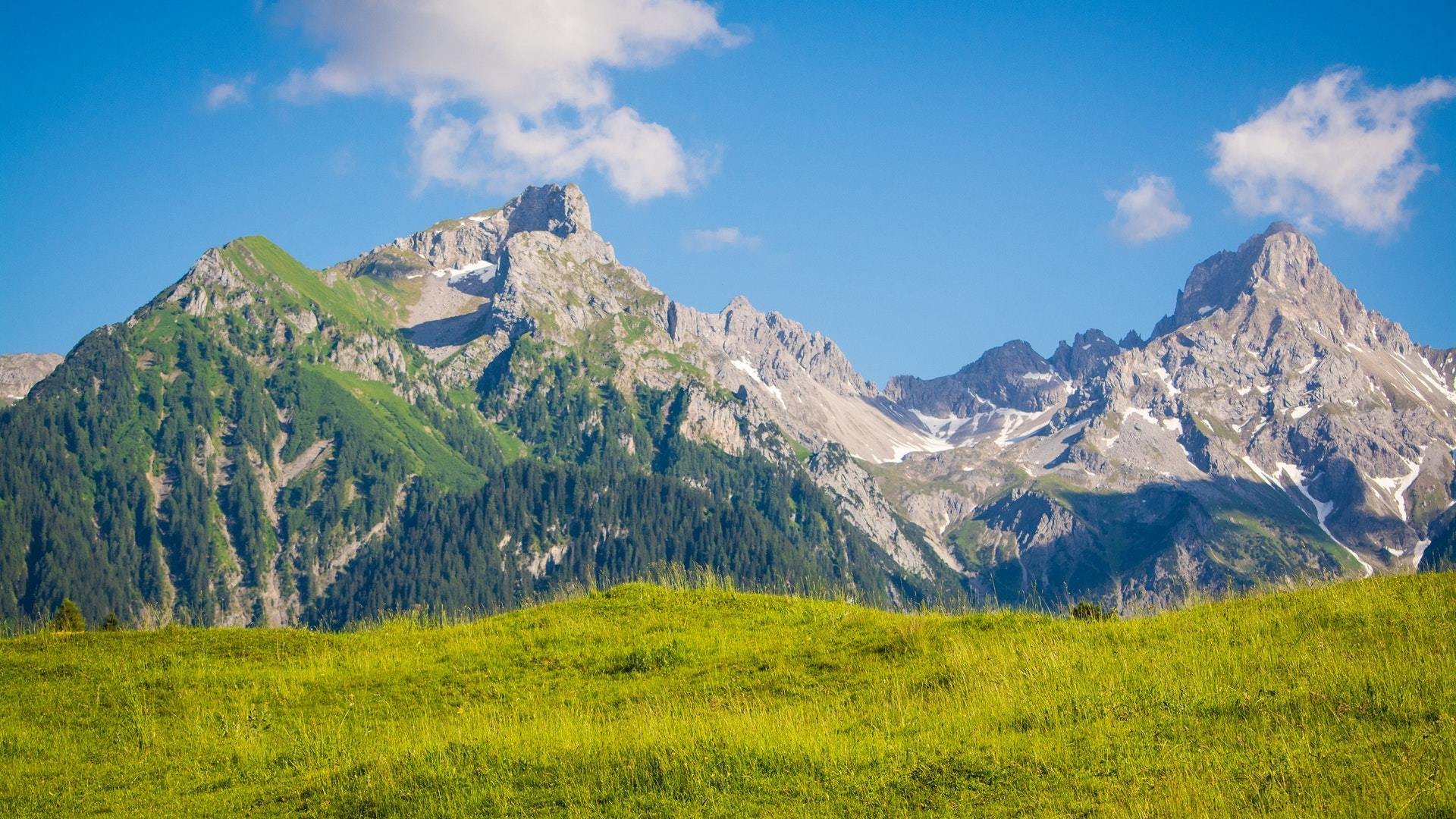风景,草原,高山