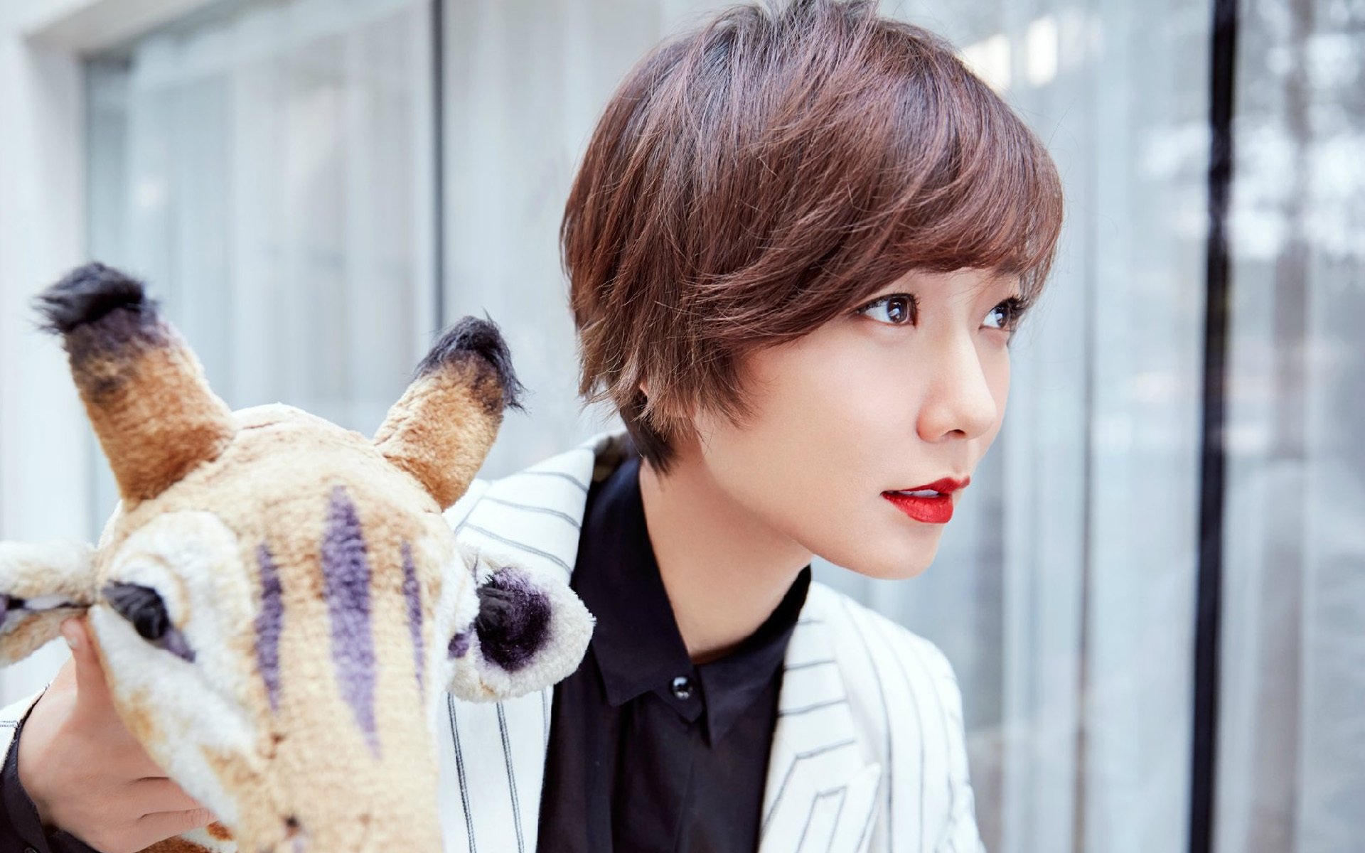 内地明星,王珞丹