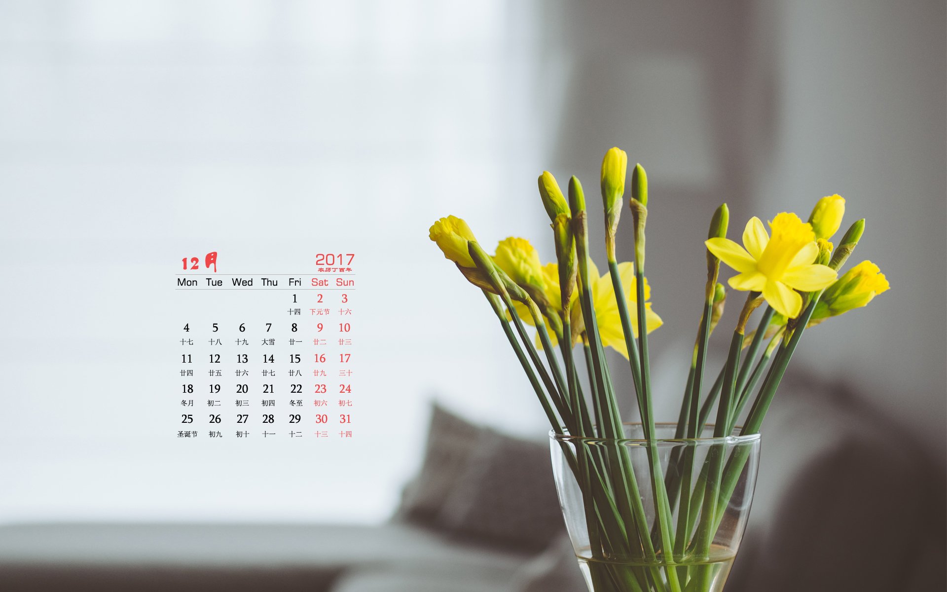 月历,植物,花卉