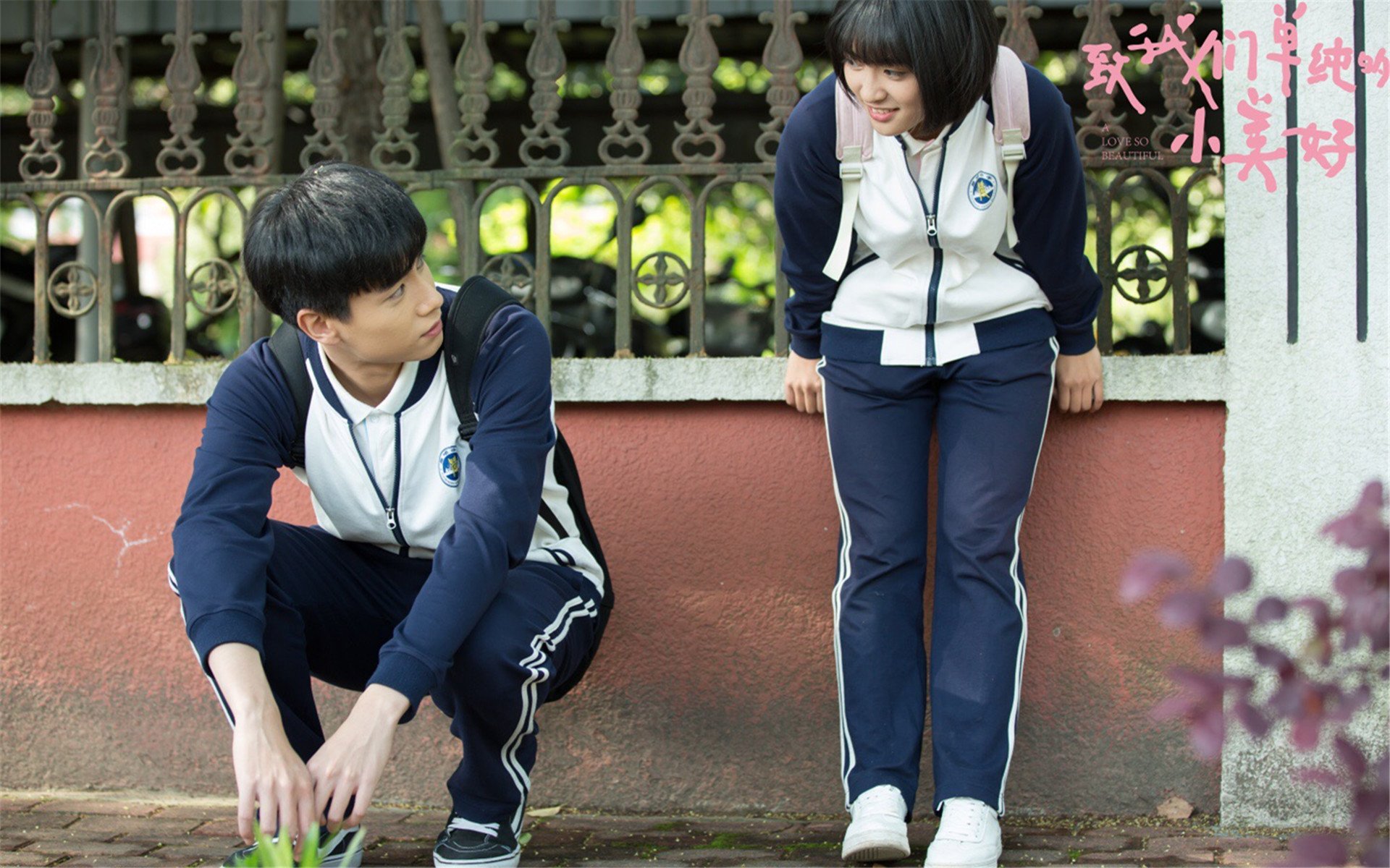 影视,电视剧,致我们单纯的小美好