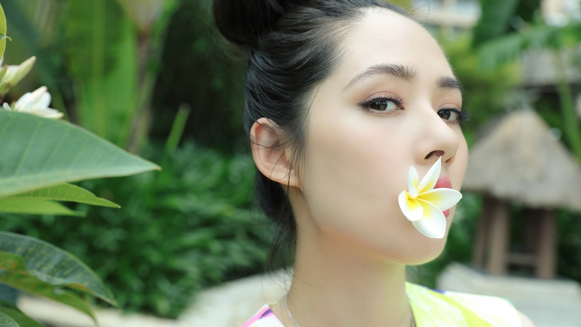 港台明星,郭碧婷