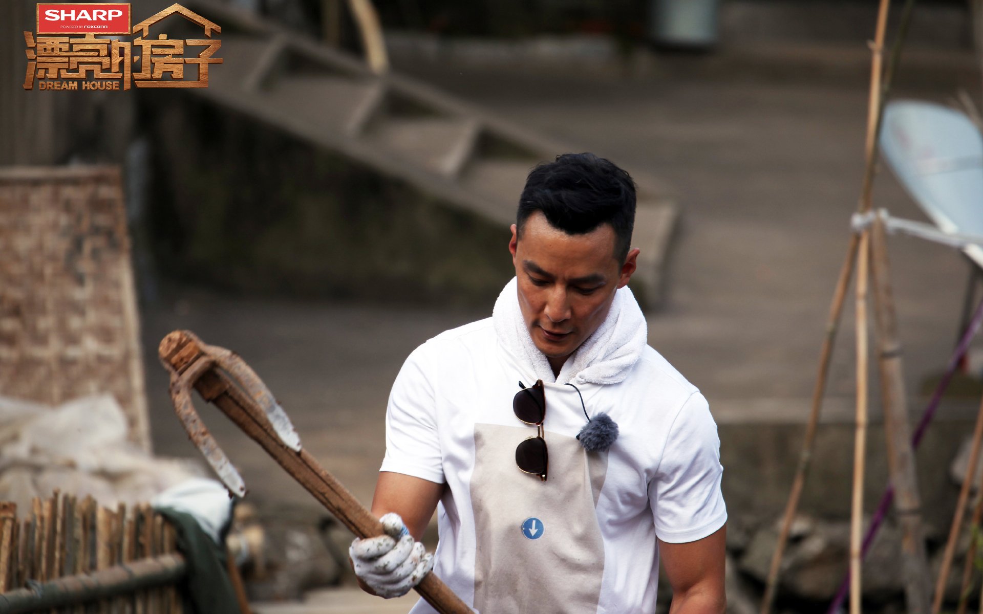 影视,综艺,漂亮的房子,吴彦祖