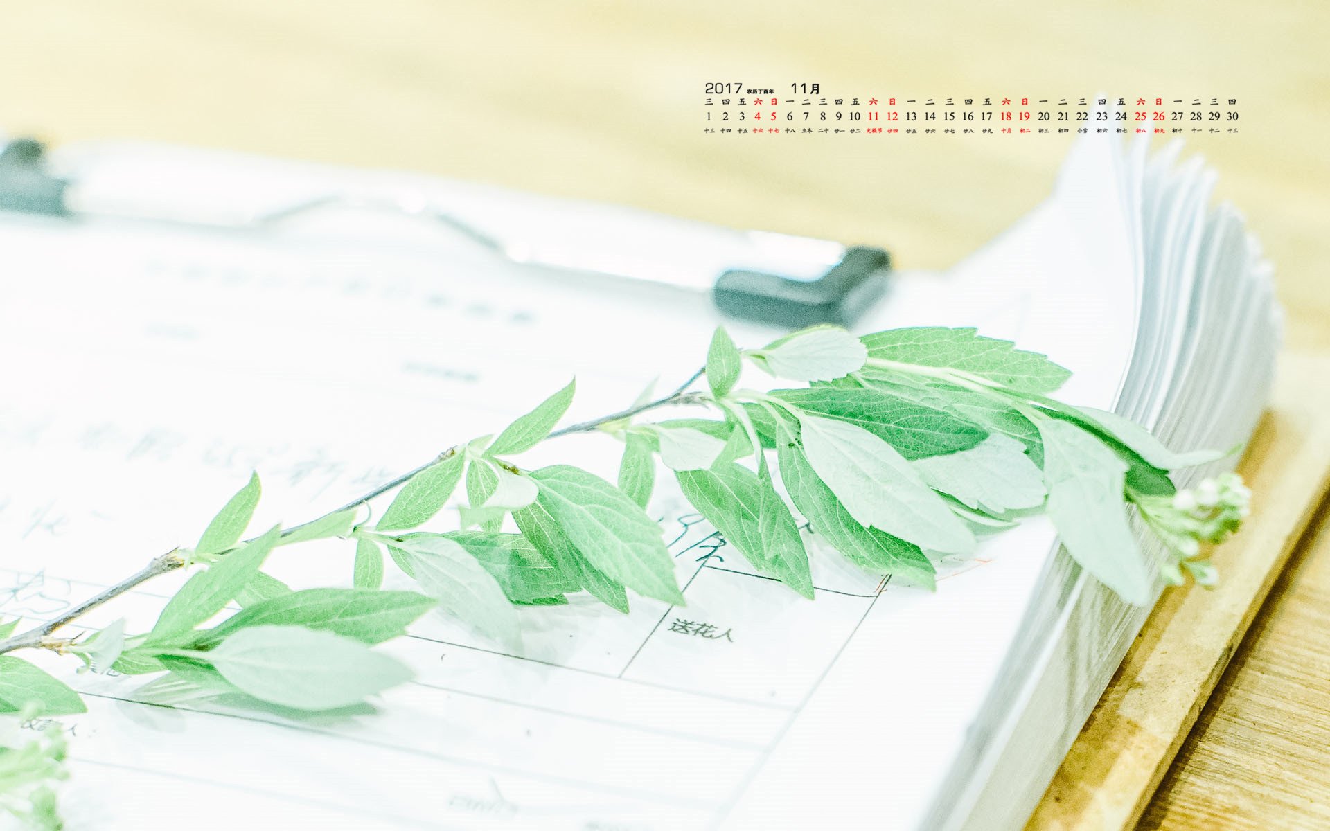 月历,2017年11月