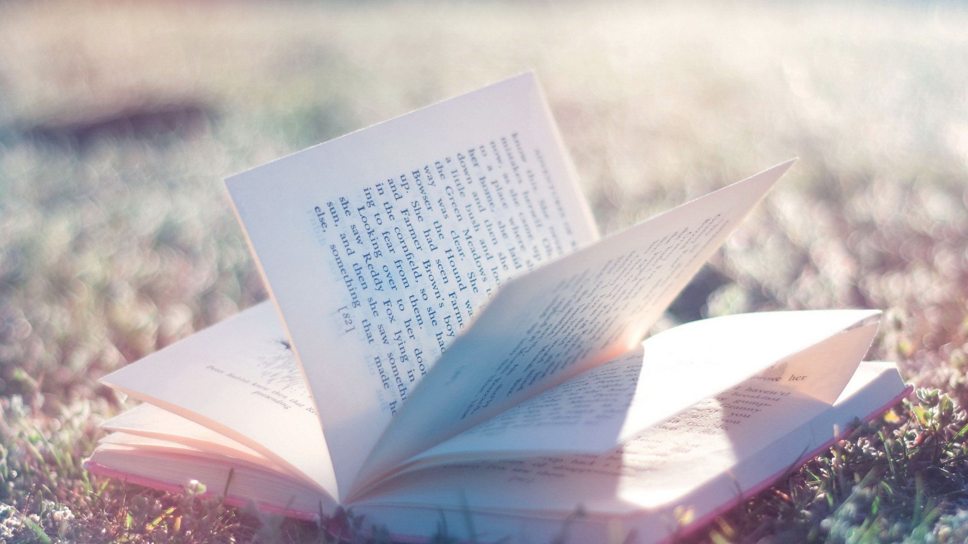 小清新,静物写真,书本,书籍