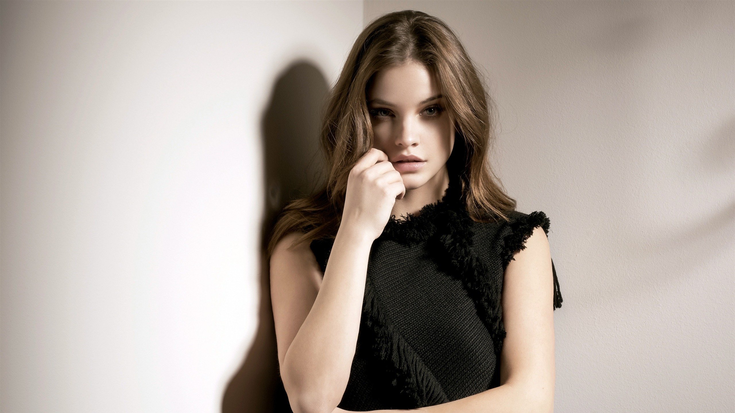 欧美明星,芭芭拉帕尔文