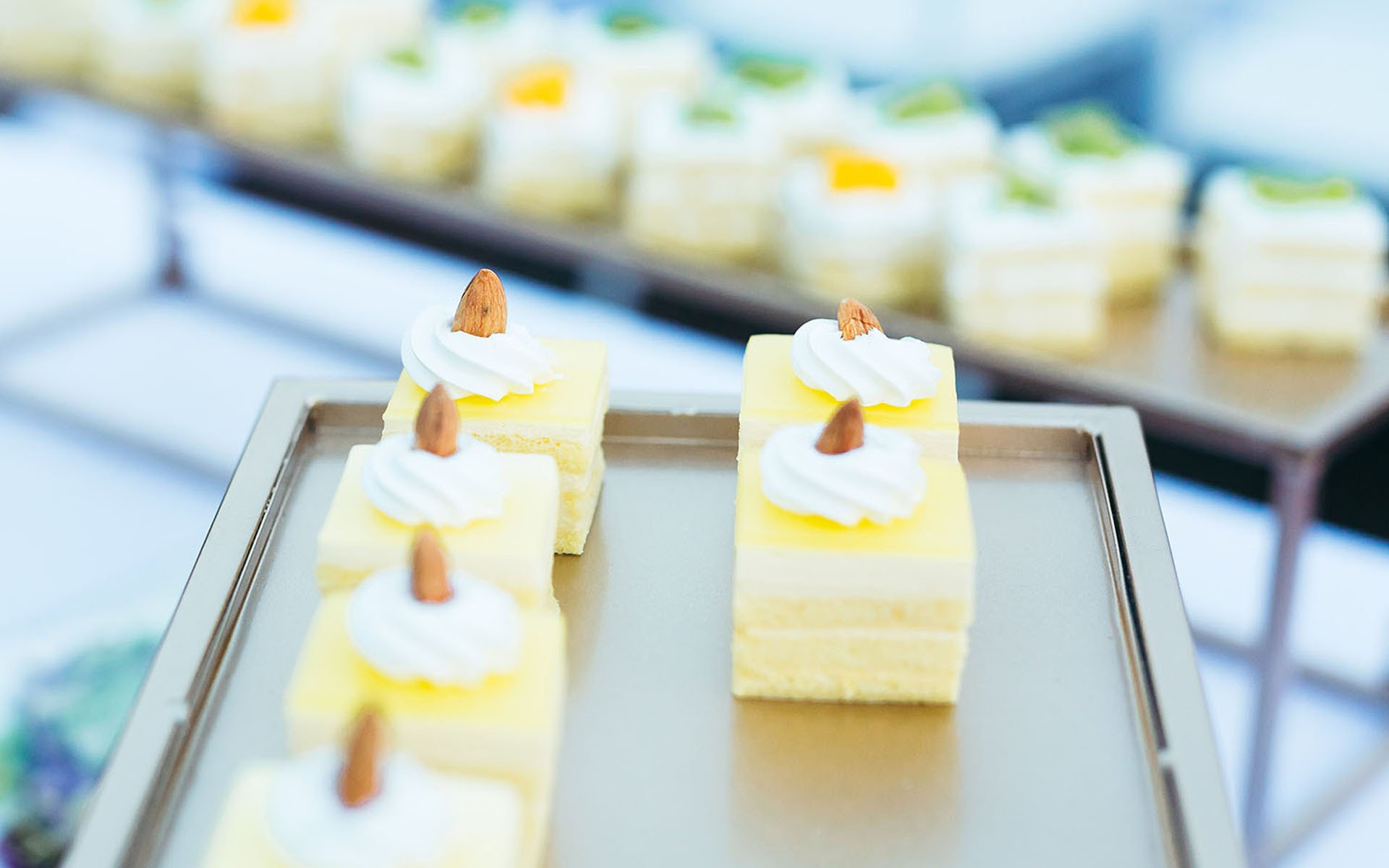 静物,相机,糕点