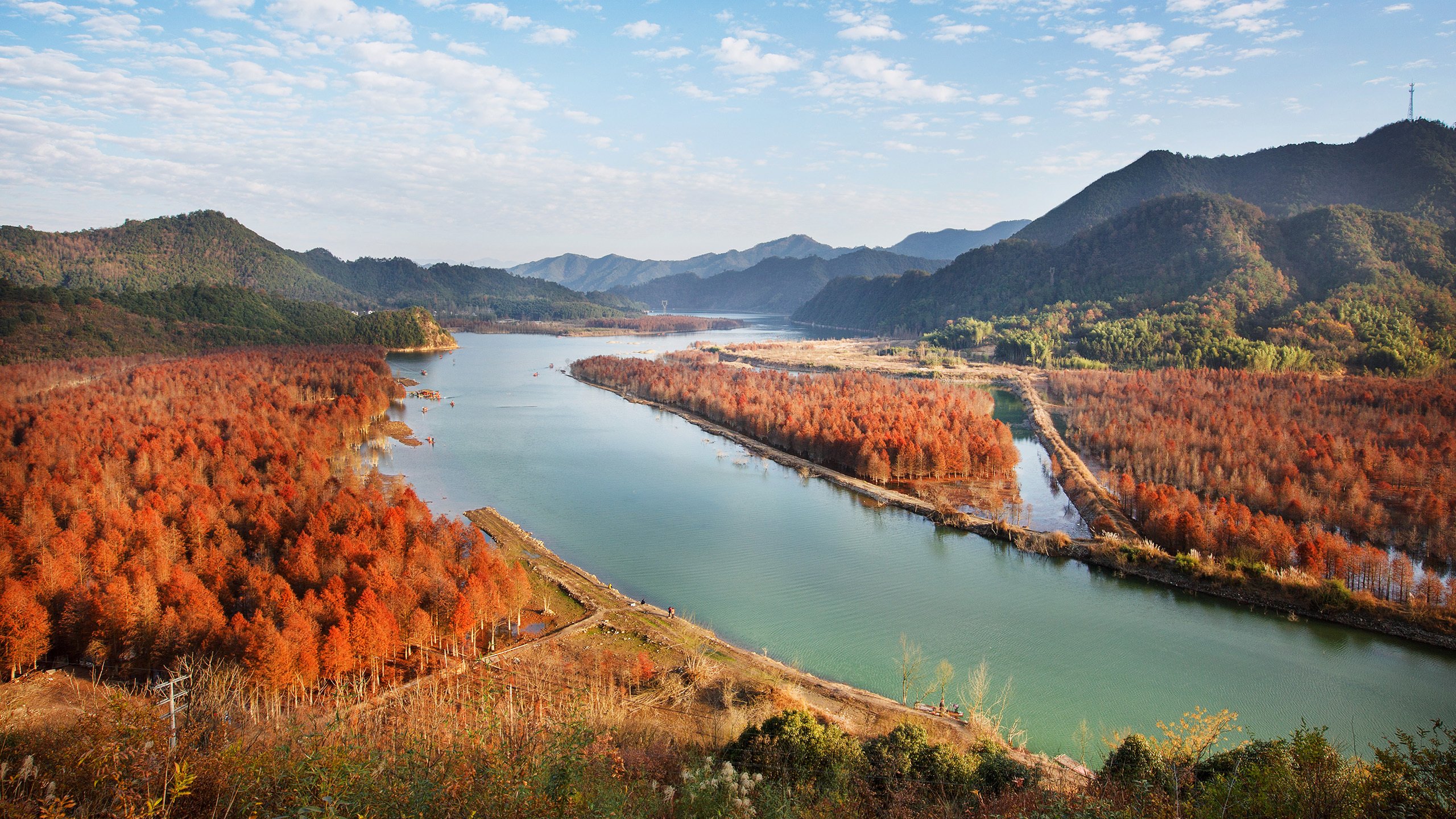 风景,自然风光,森林