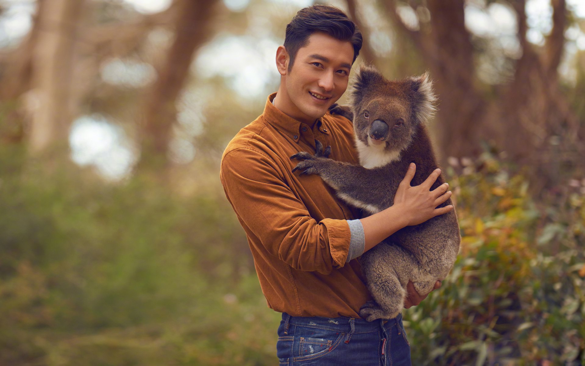 内地明星,黄晓明