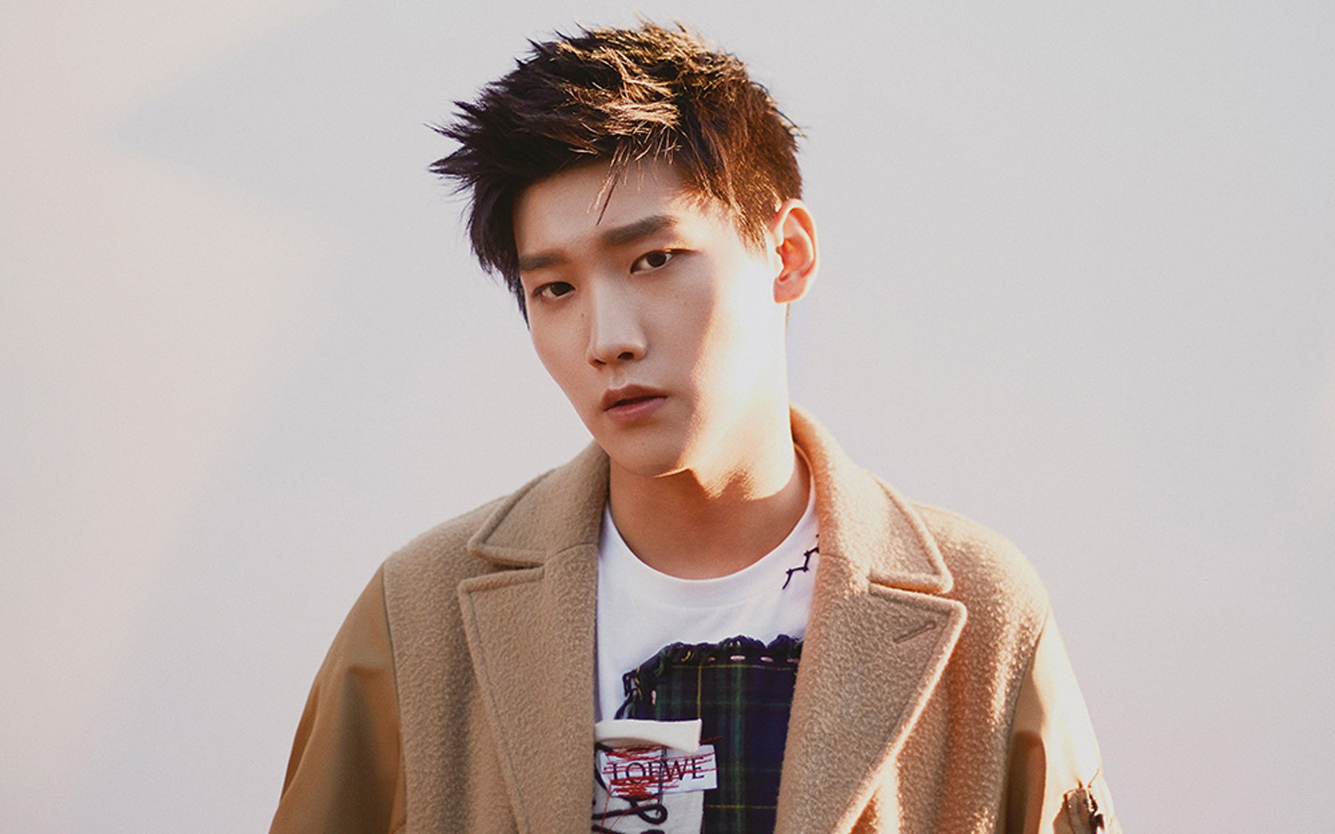 内地明星,邢昭林