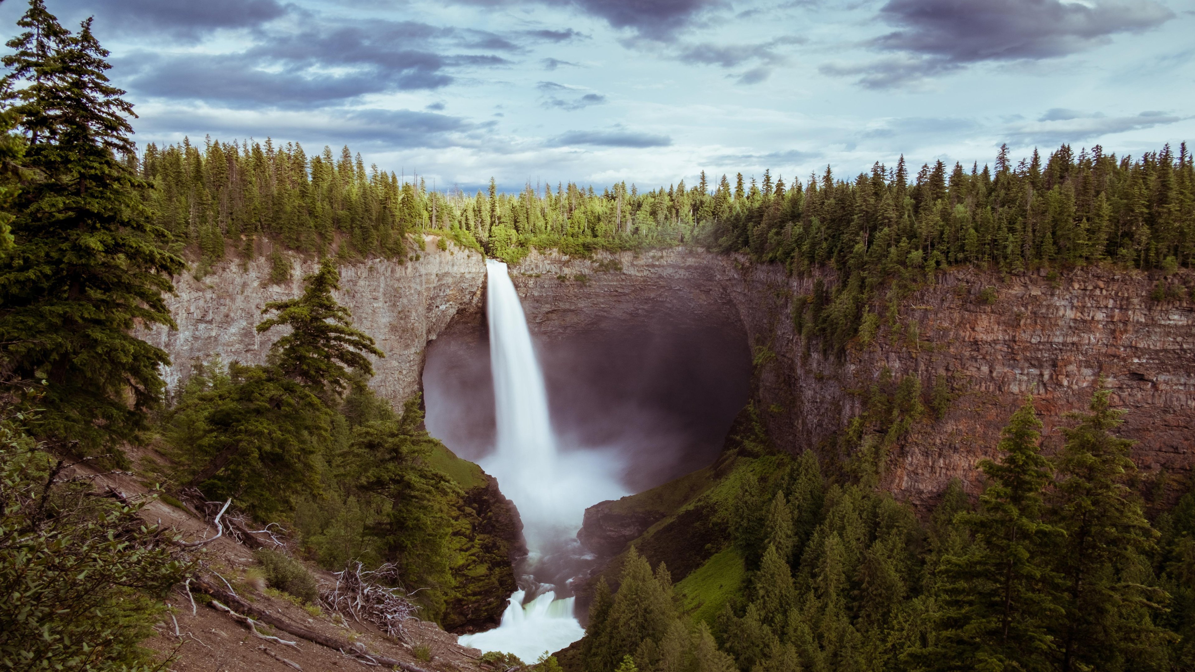4K,风景,瀑布,森林