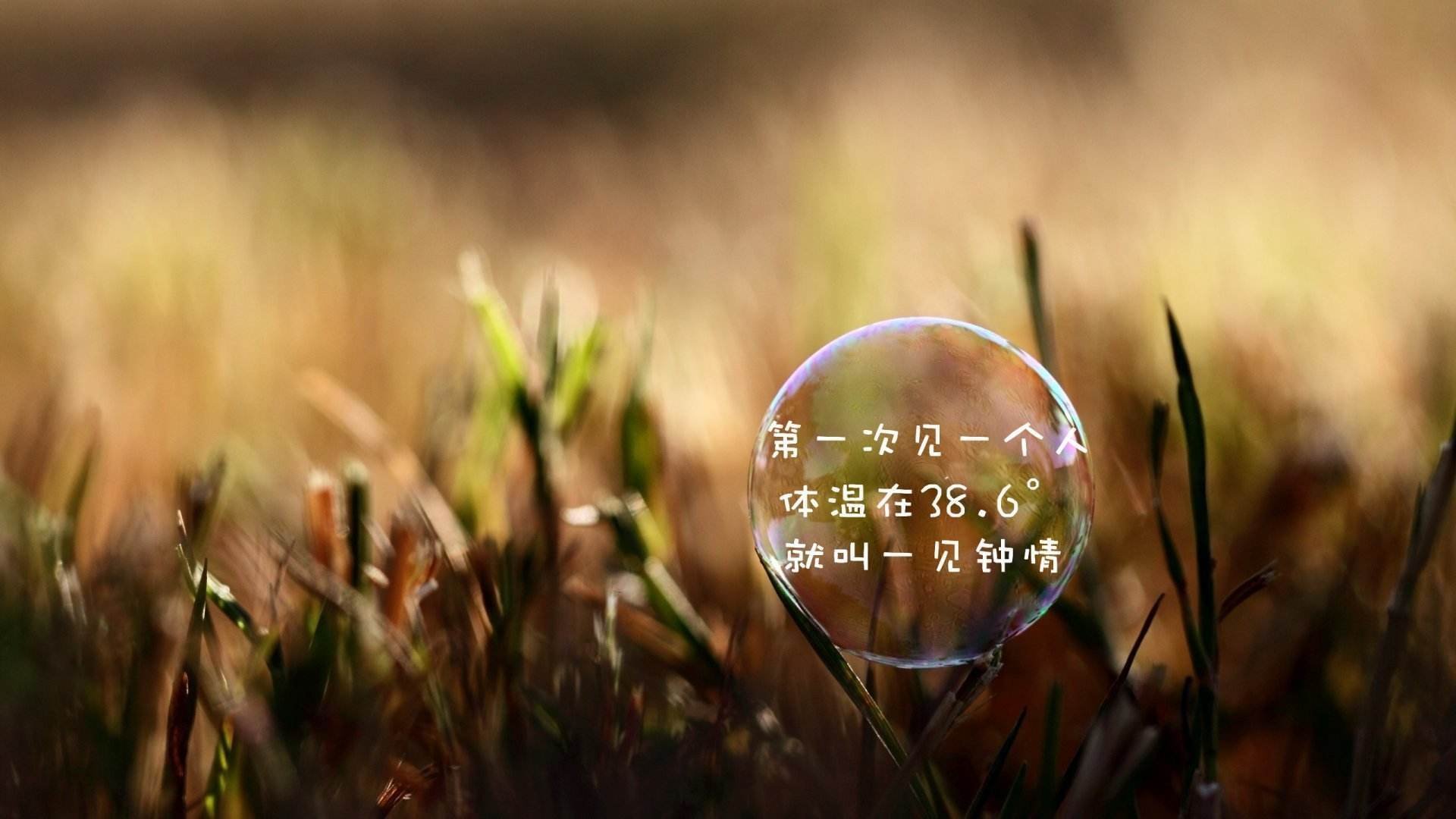 文字,气泡,一见钟情