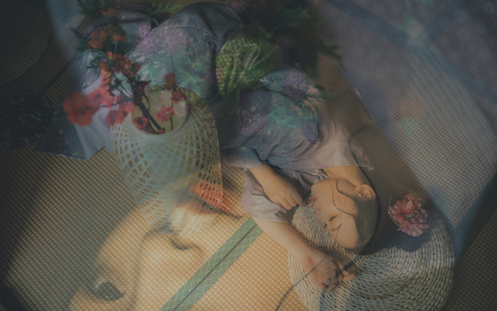 美女,模特,性感