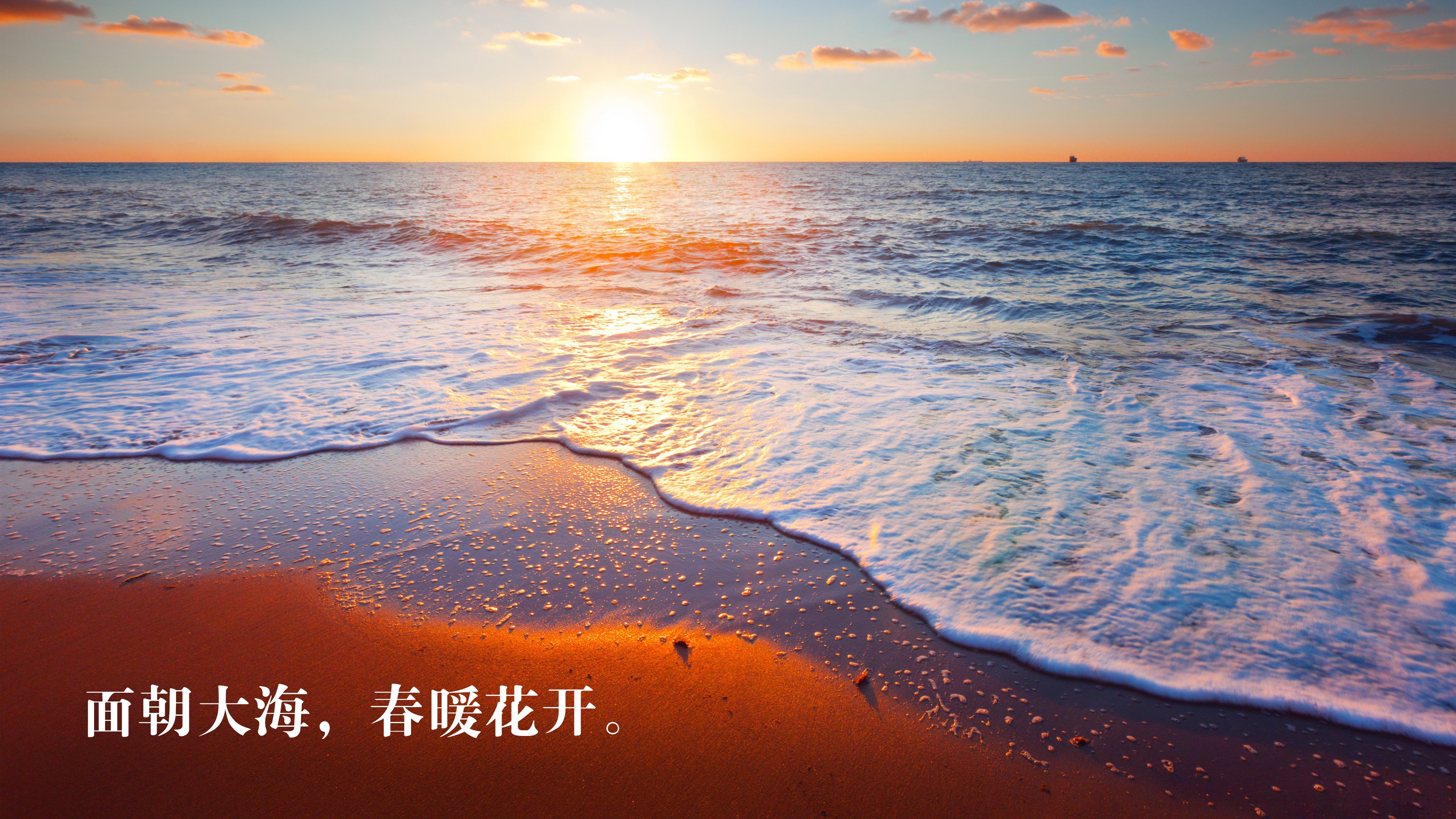 文字控,面朝大海,春暖花开