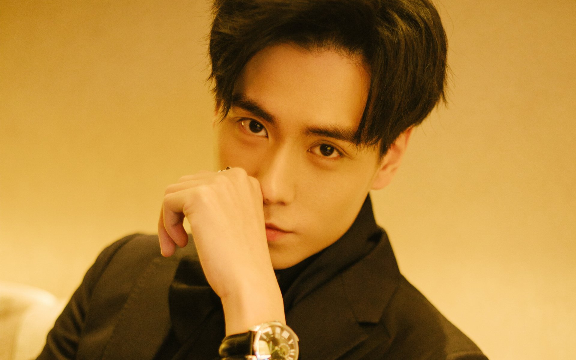 内地明星,胡一天