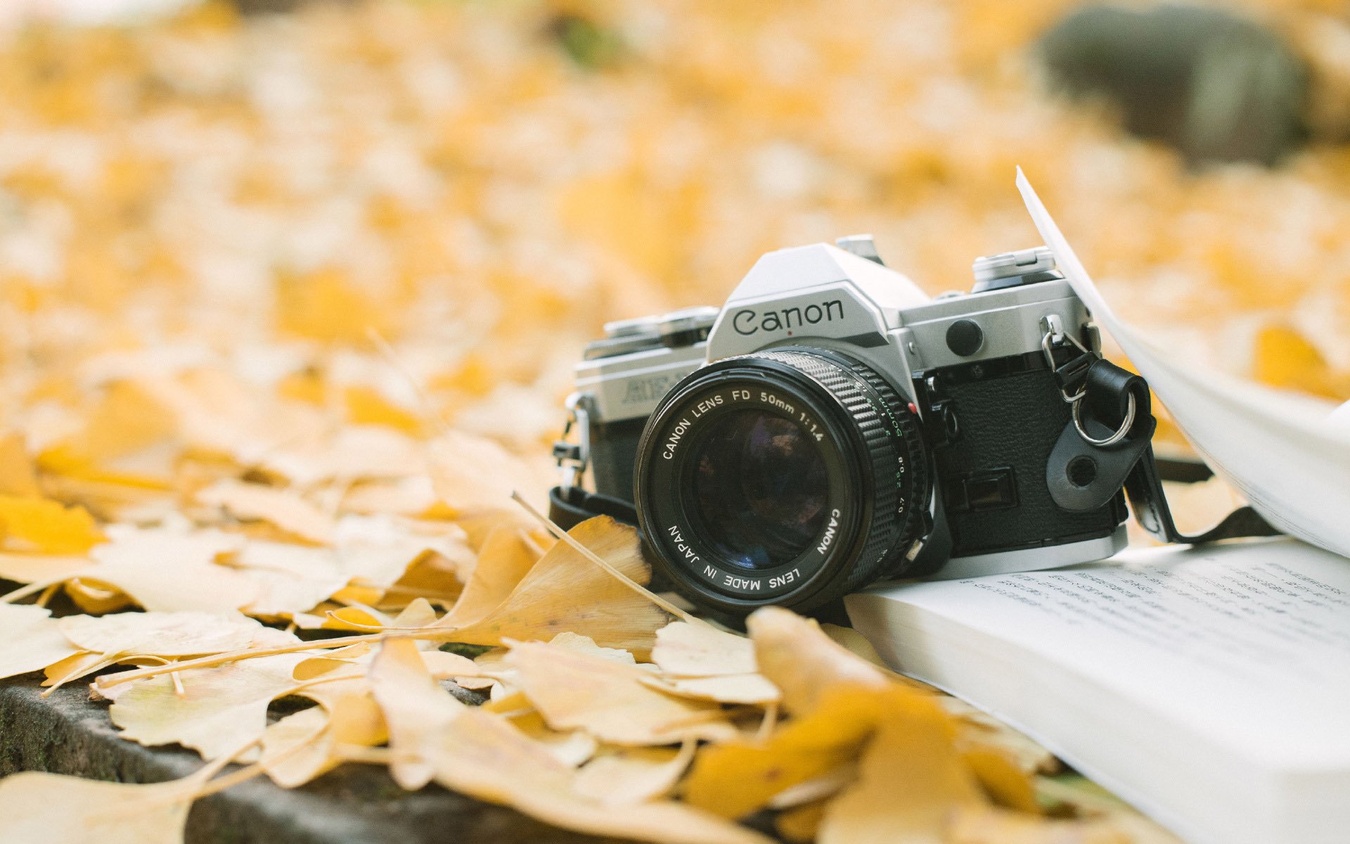 小清新,温馨一刻