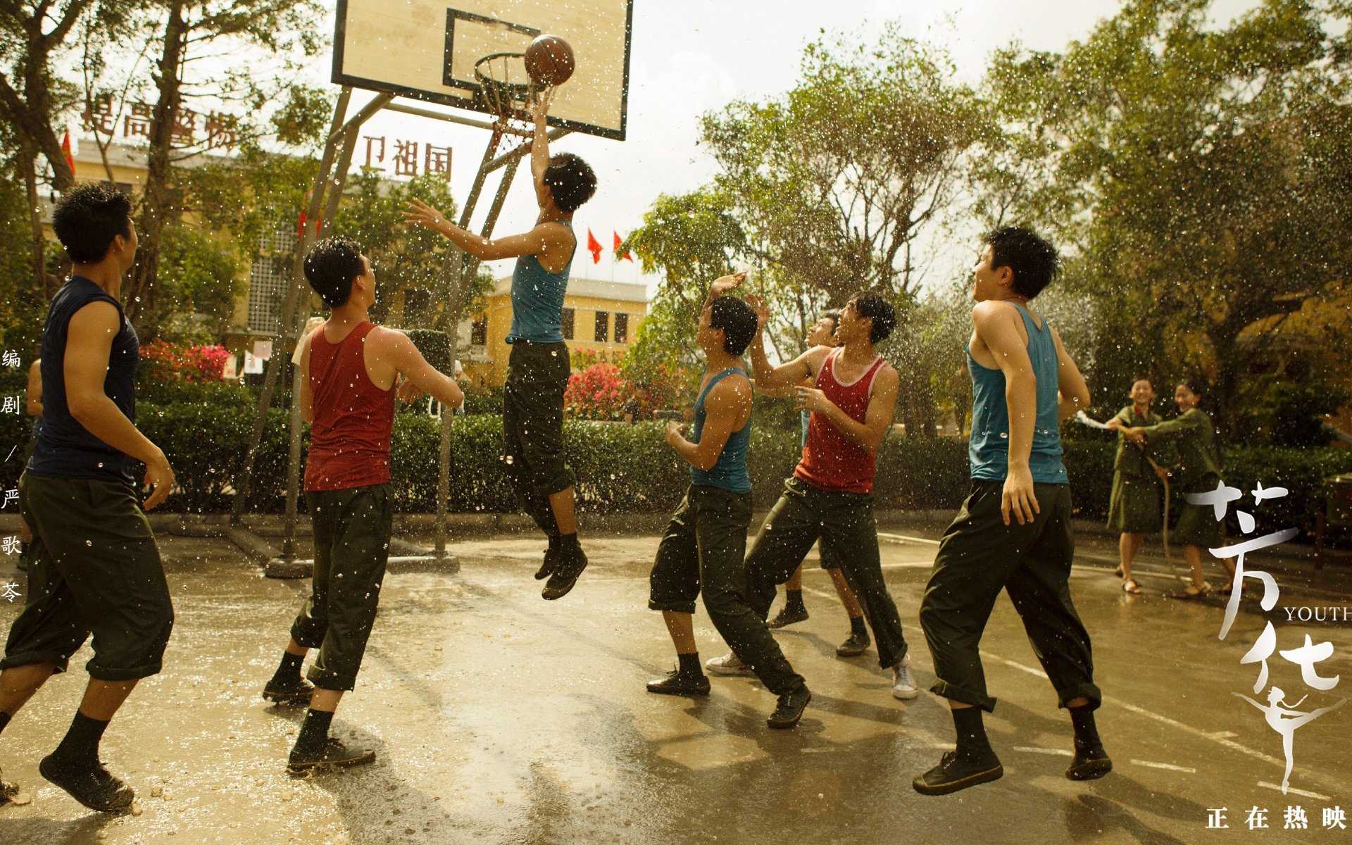 影视,电影,芳华