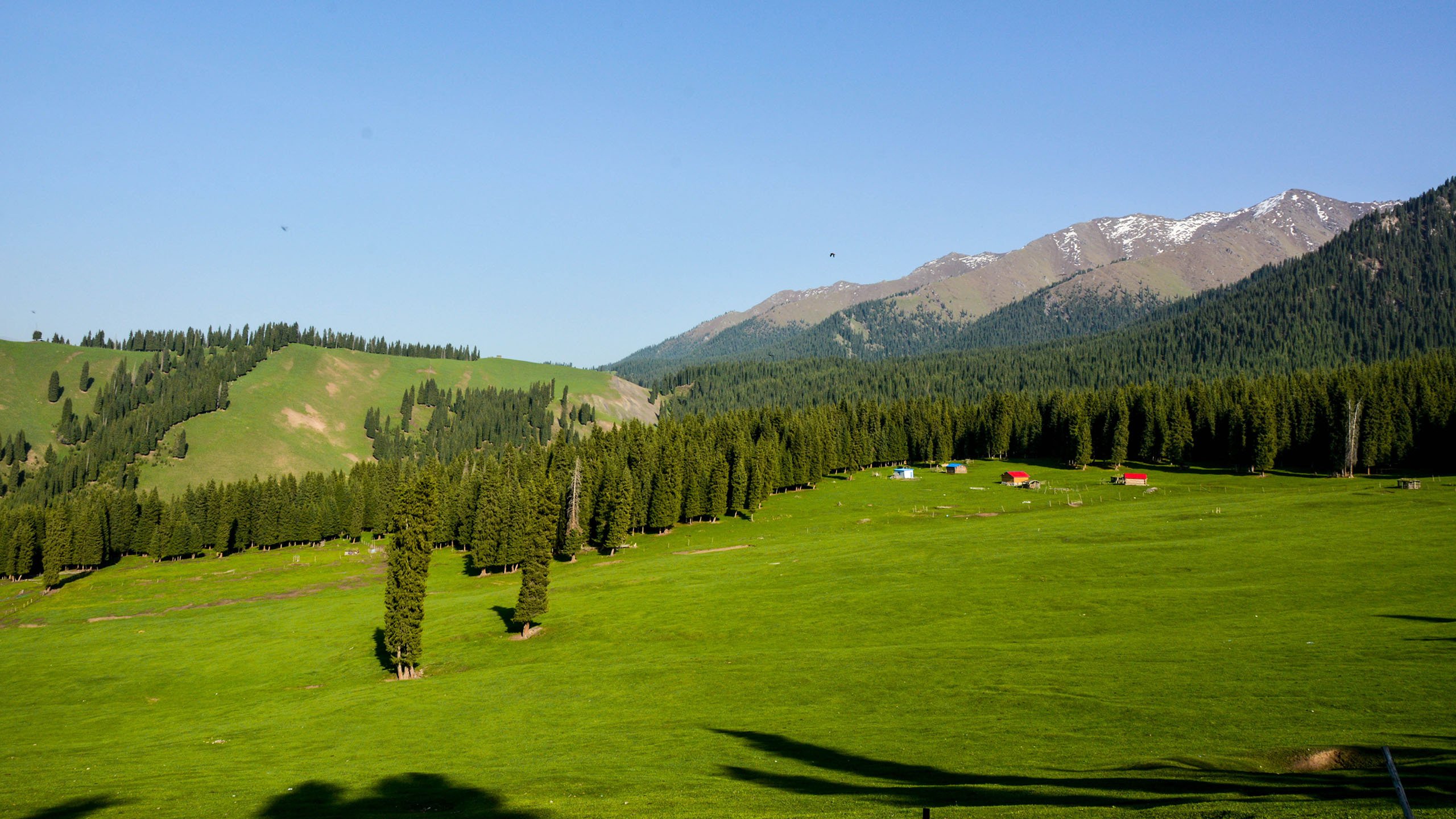 风景,自然风光,草原,草地,新疆科克尔斯陶牧区