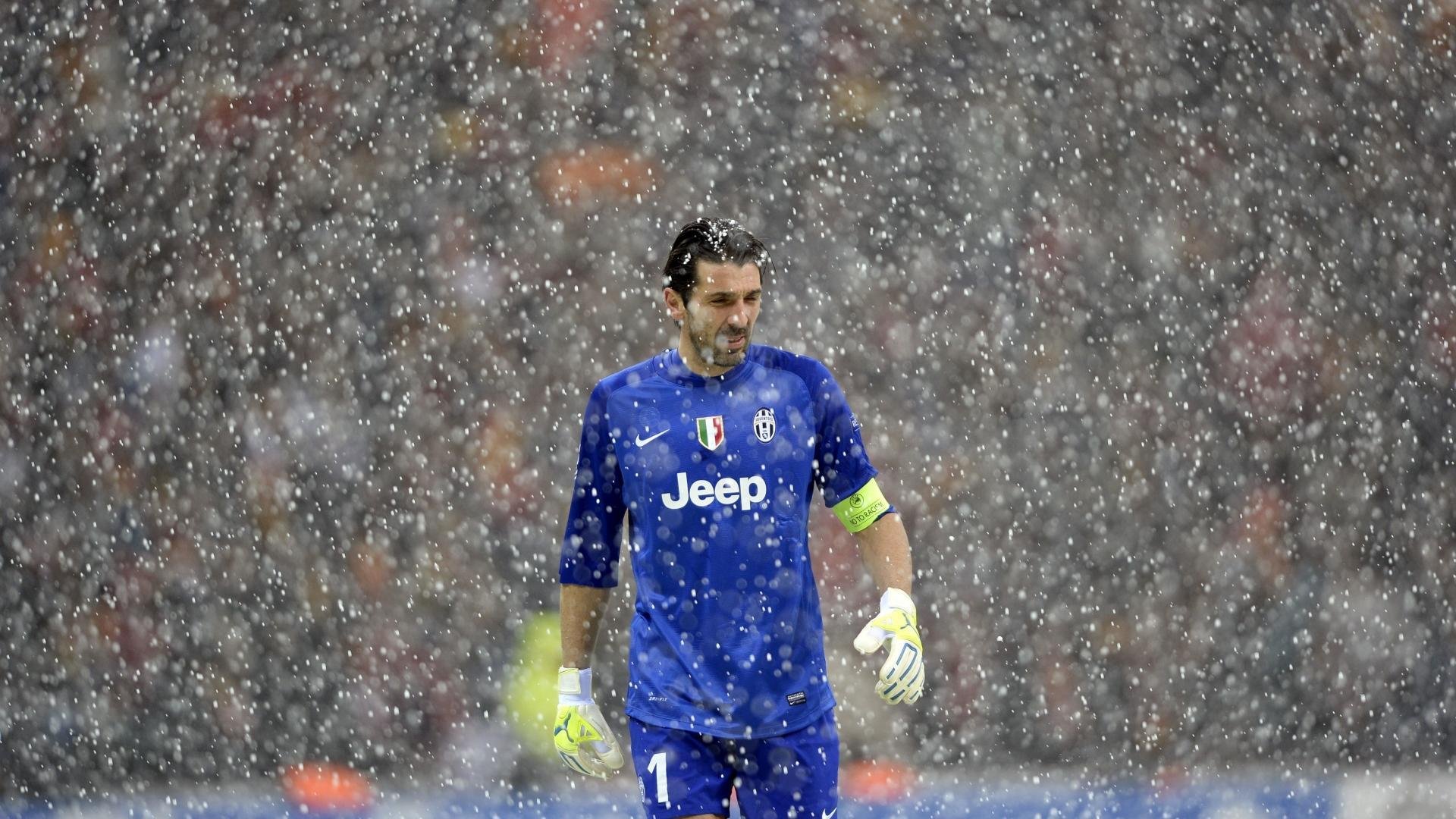 体育,足球,布冯