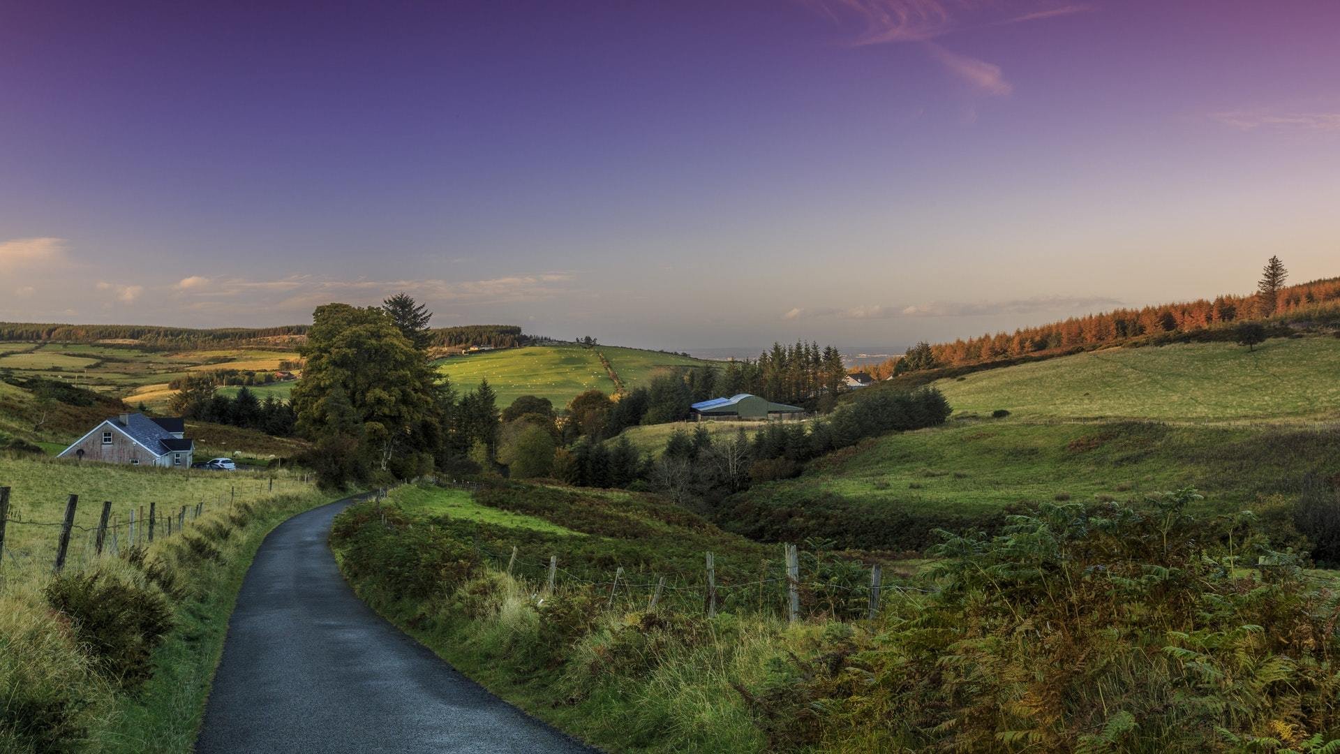 风景,草原,黄昏