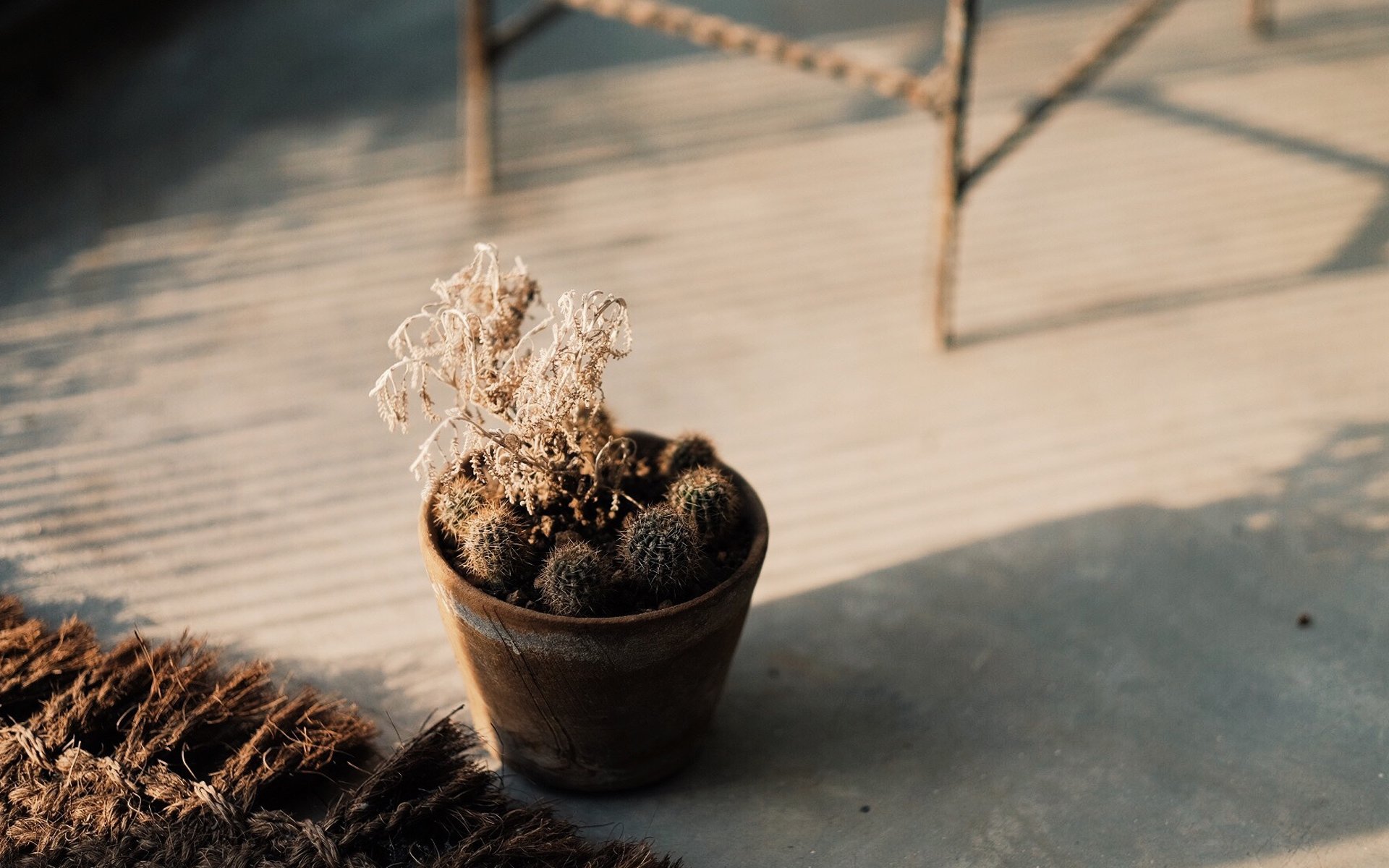 家居,家装,装修