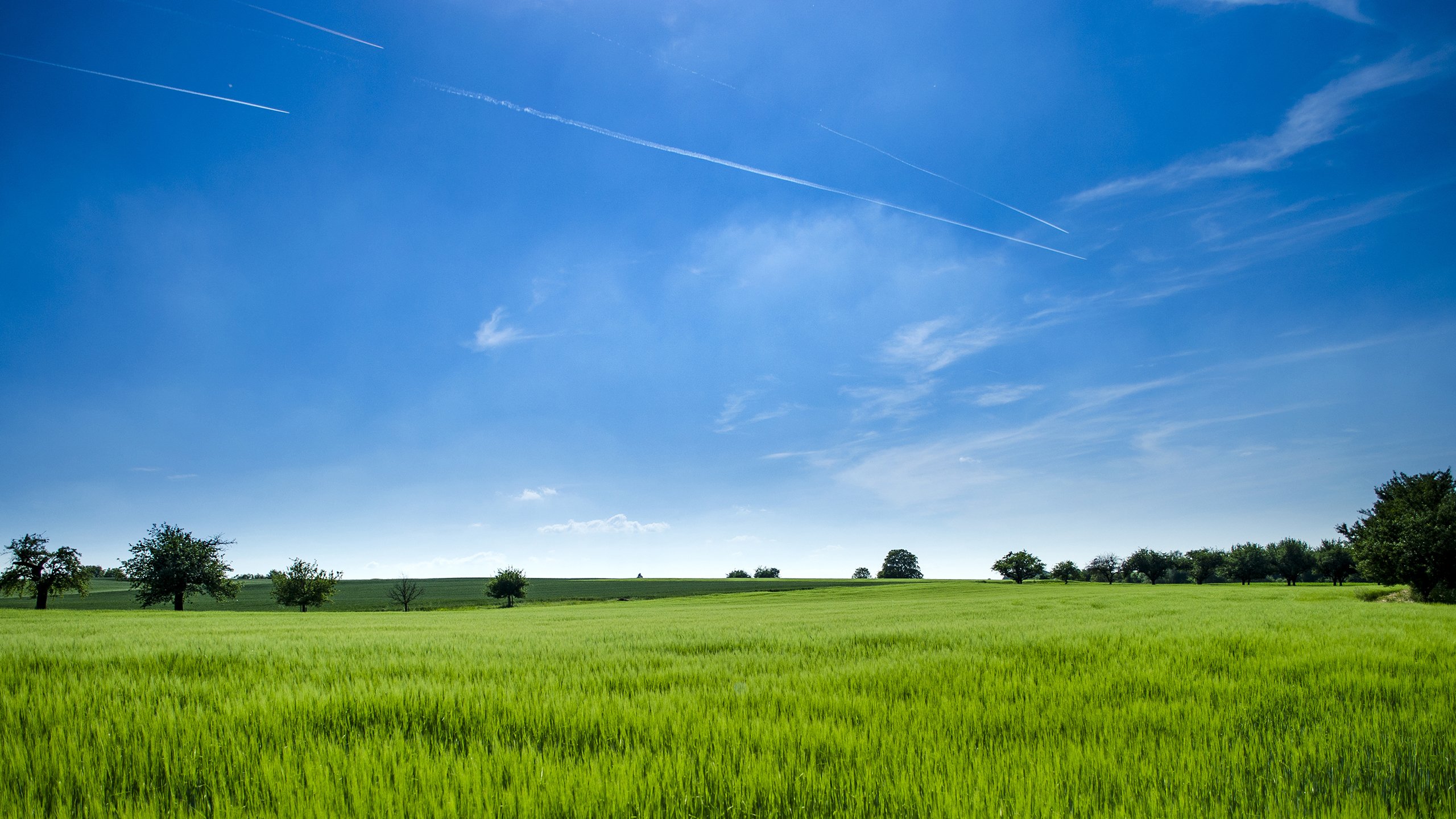 风景,蓝天白云,草地,草原