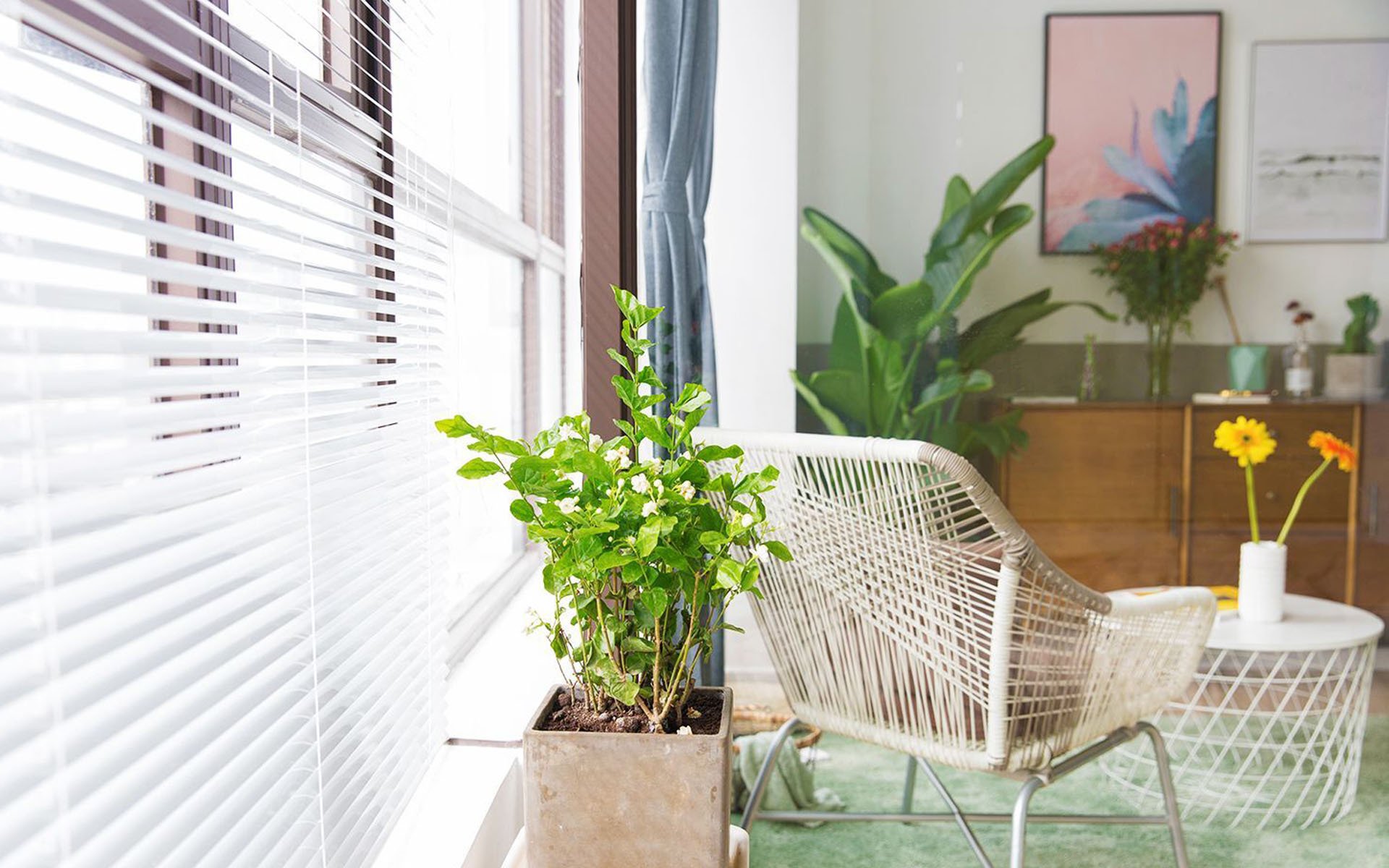 小清新,家居,日系