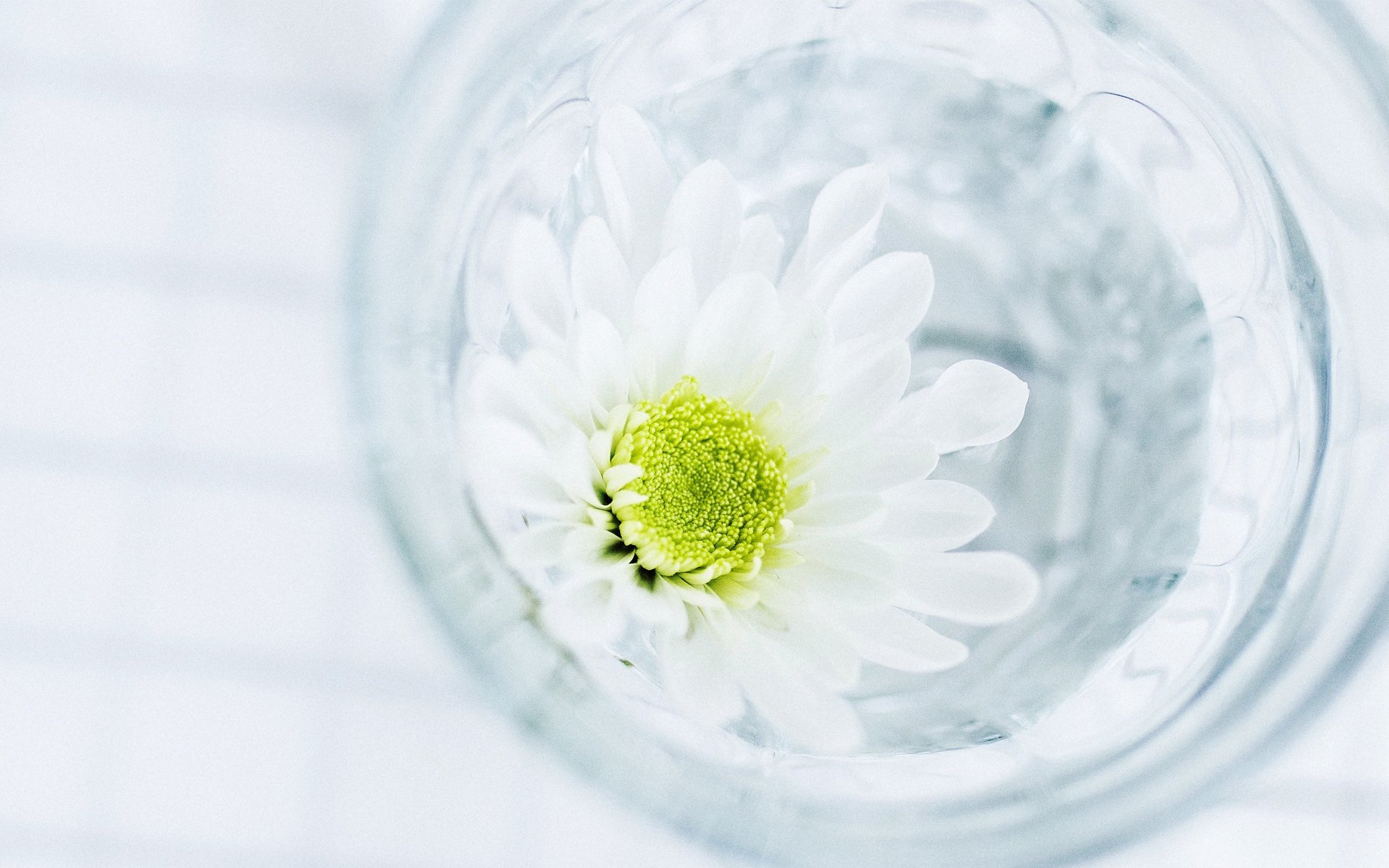 小清新,清新淡雅