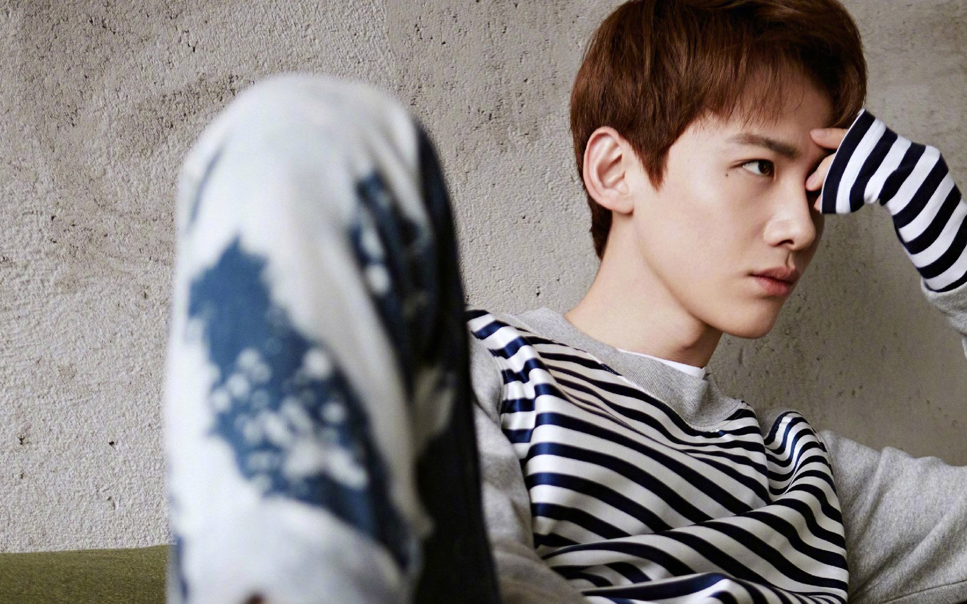 内地明星,白敬亭