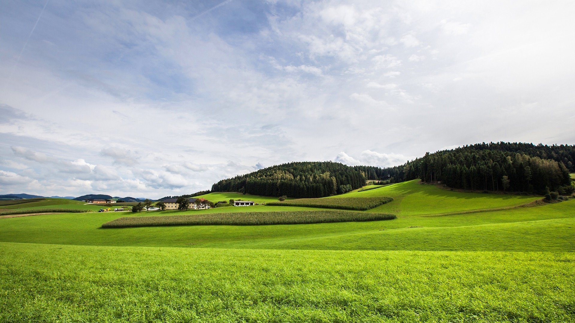 风景,自然风光,草地,草原
