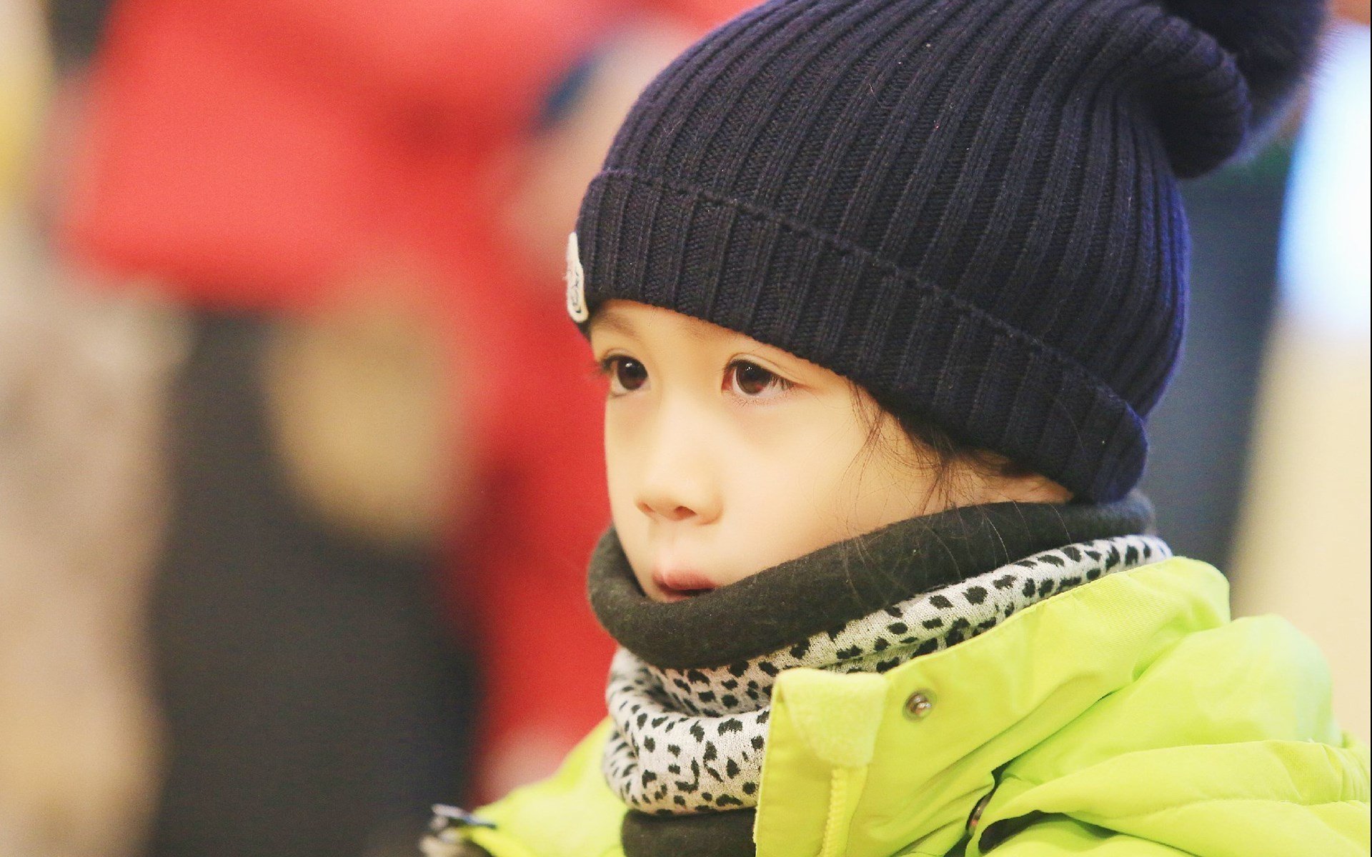 baby,爸爸去哪儿,考拉