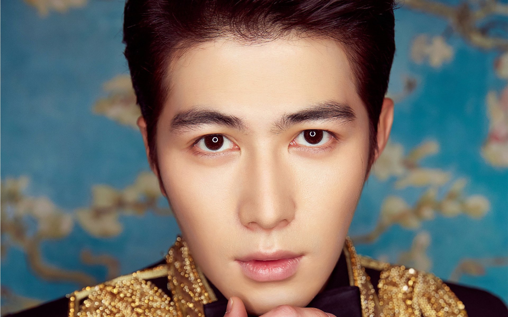 内地明星,陈学冬