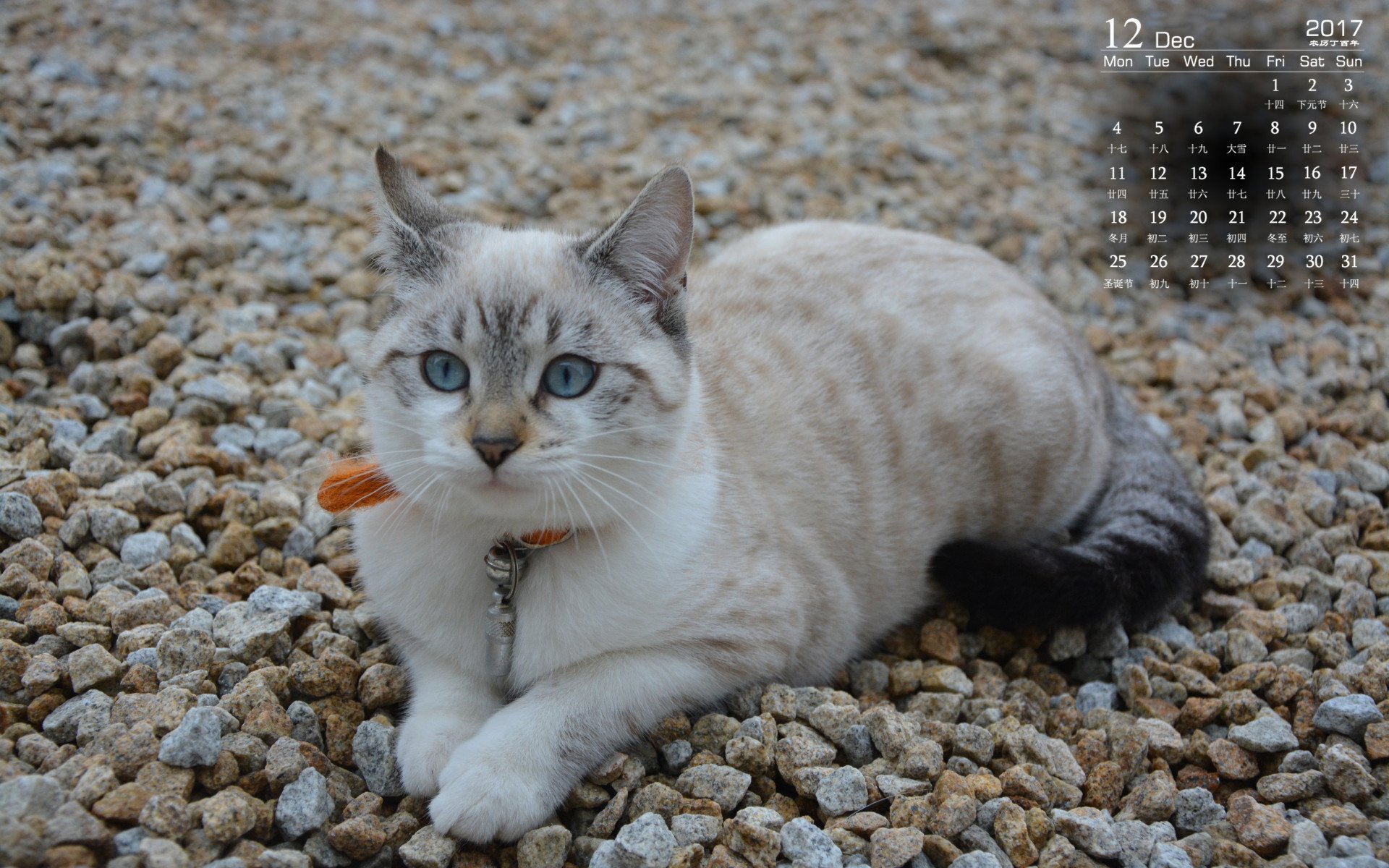 月历,2017年12月
