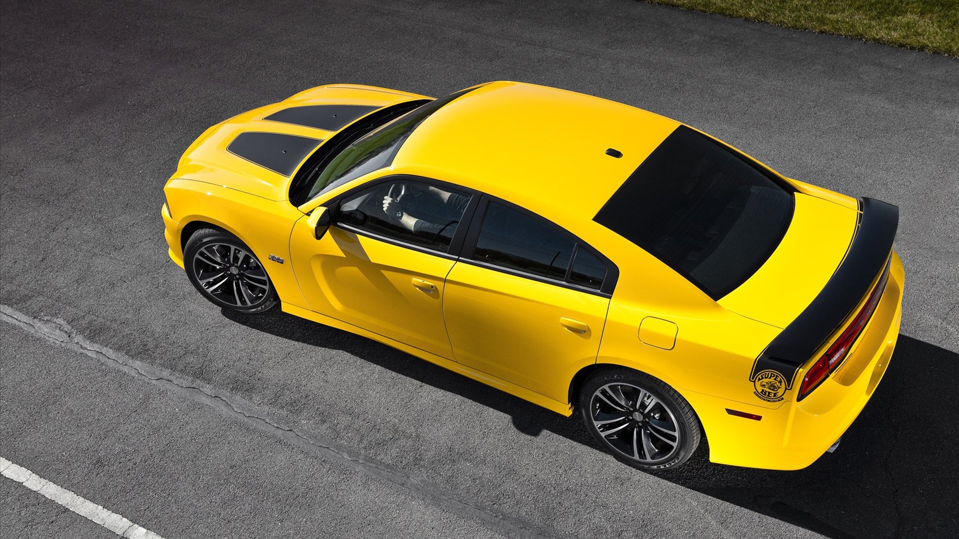 汽车,跑车,道奇