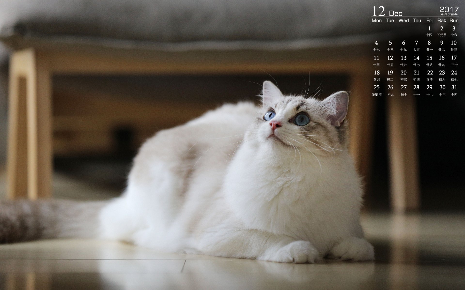 月历,2017年12月