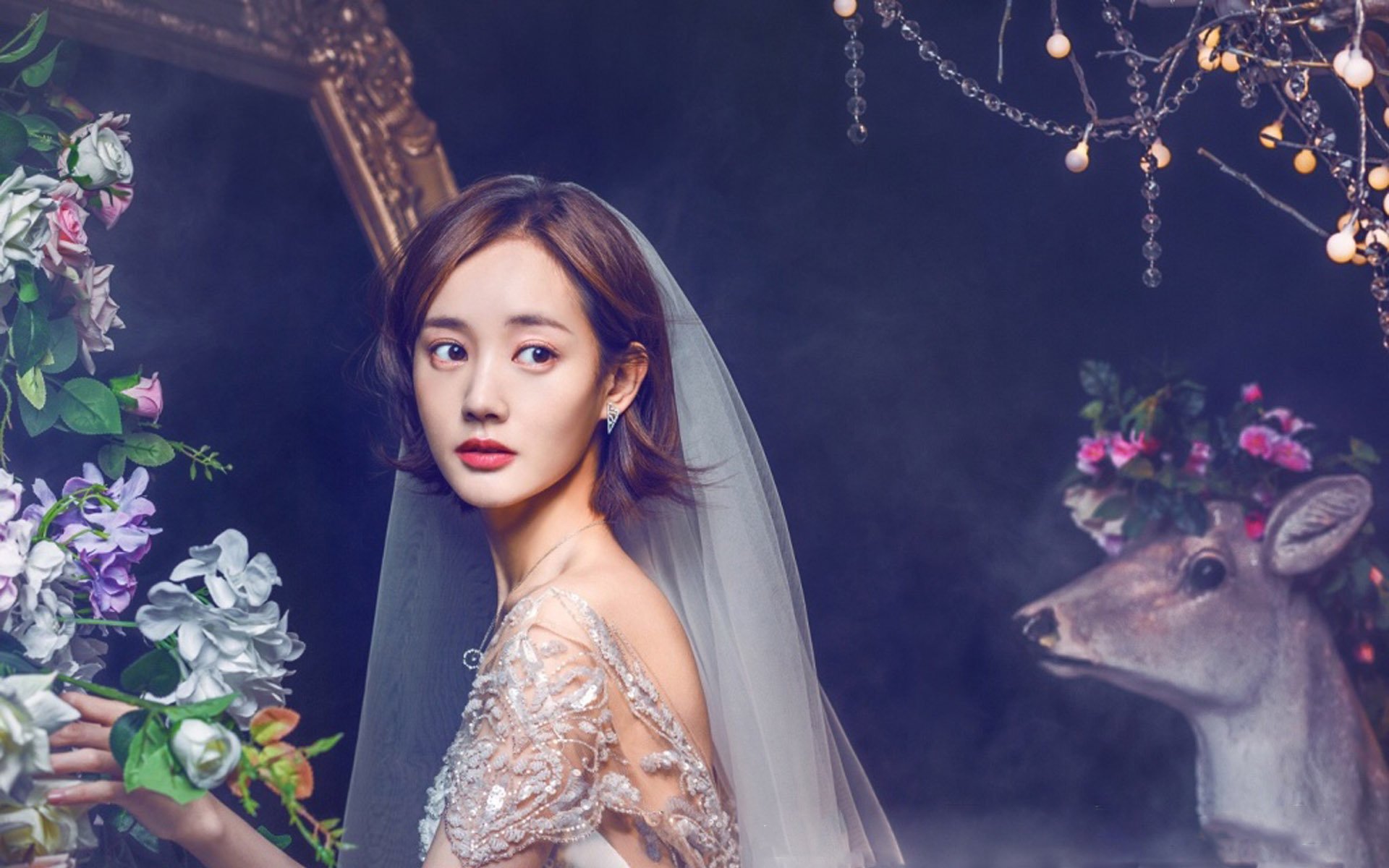 内地明星,李一桐