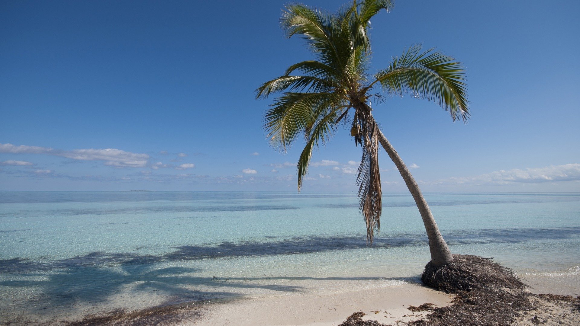 风景,海洋天堂,棕榈树,大海,沙滩