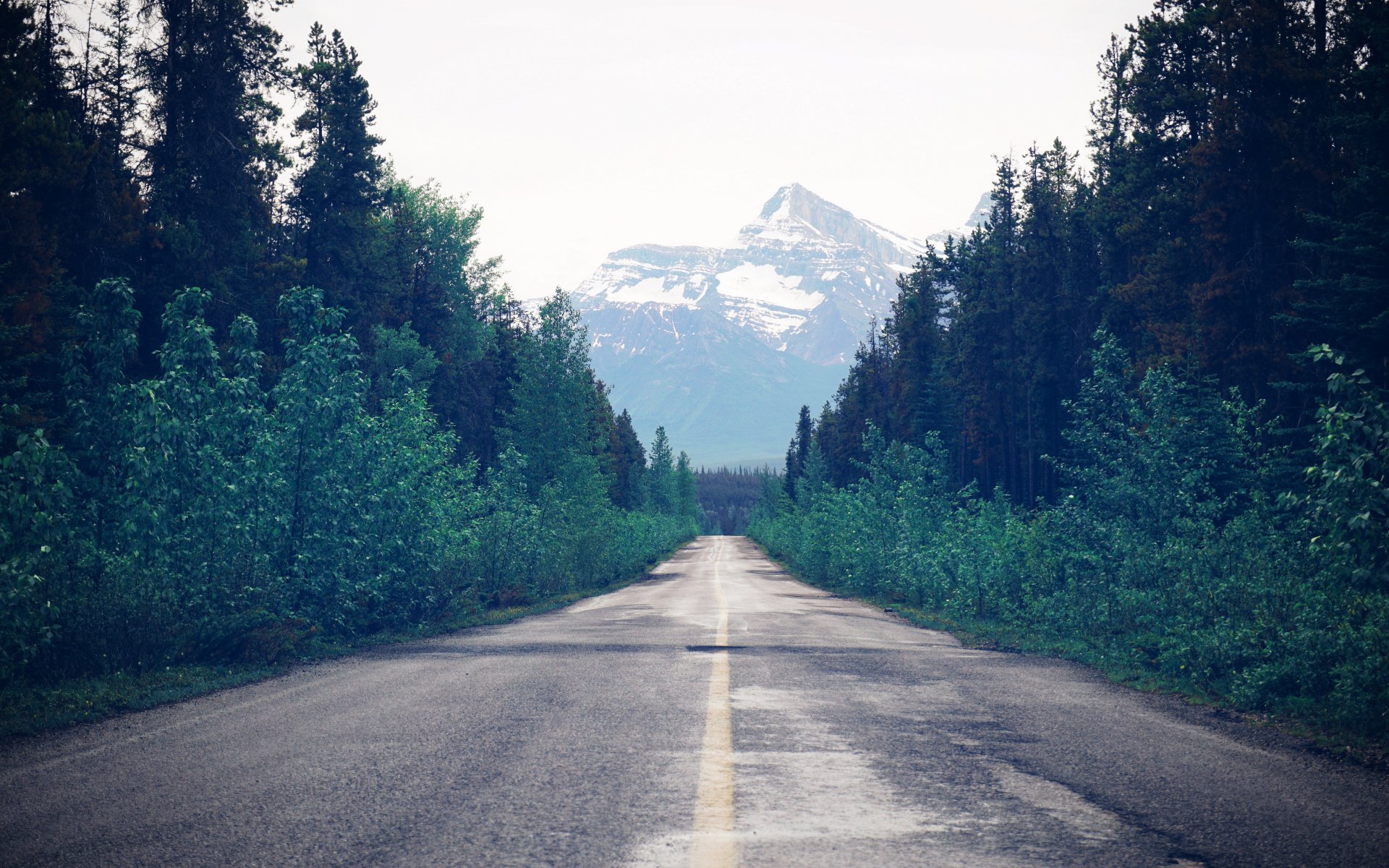 风景,自然风光,道路,远山,森林