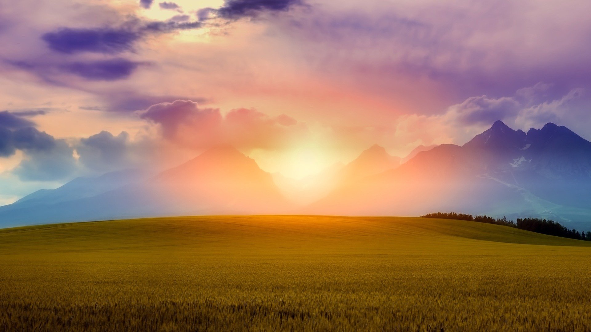 风景,落日余晖,草原,落日,夕阳