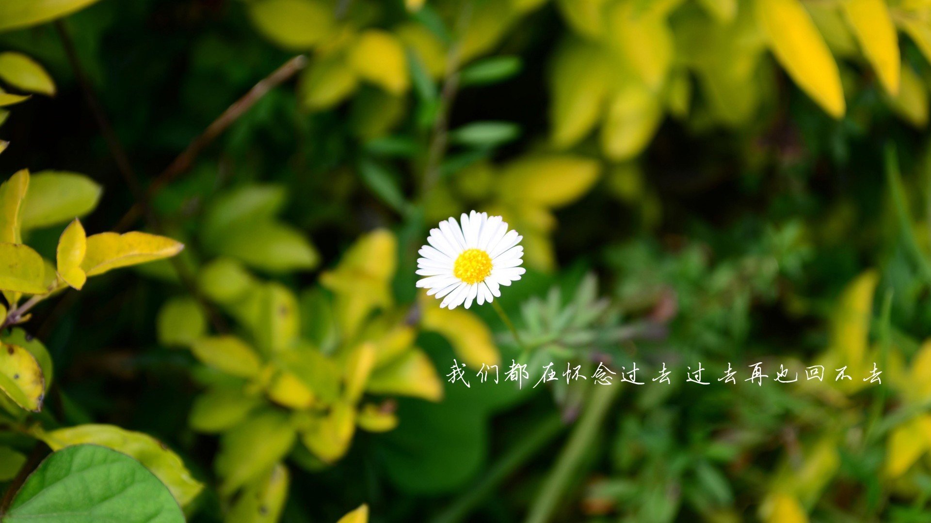 文字,我们都在怀念过去