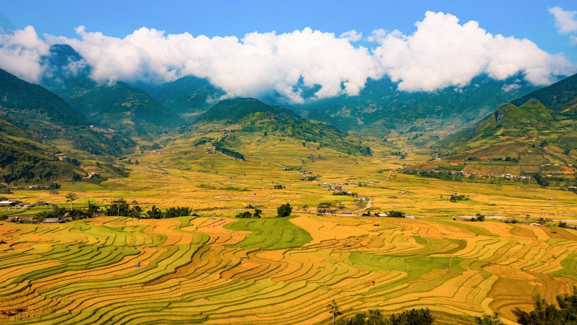 风景,高山,雪山