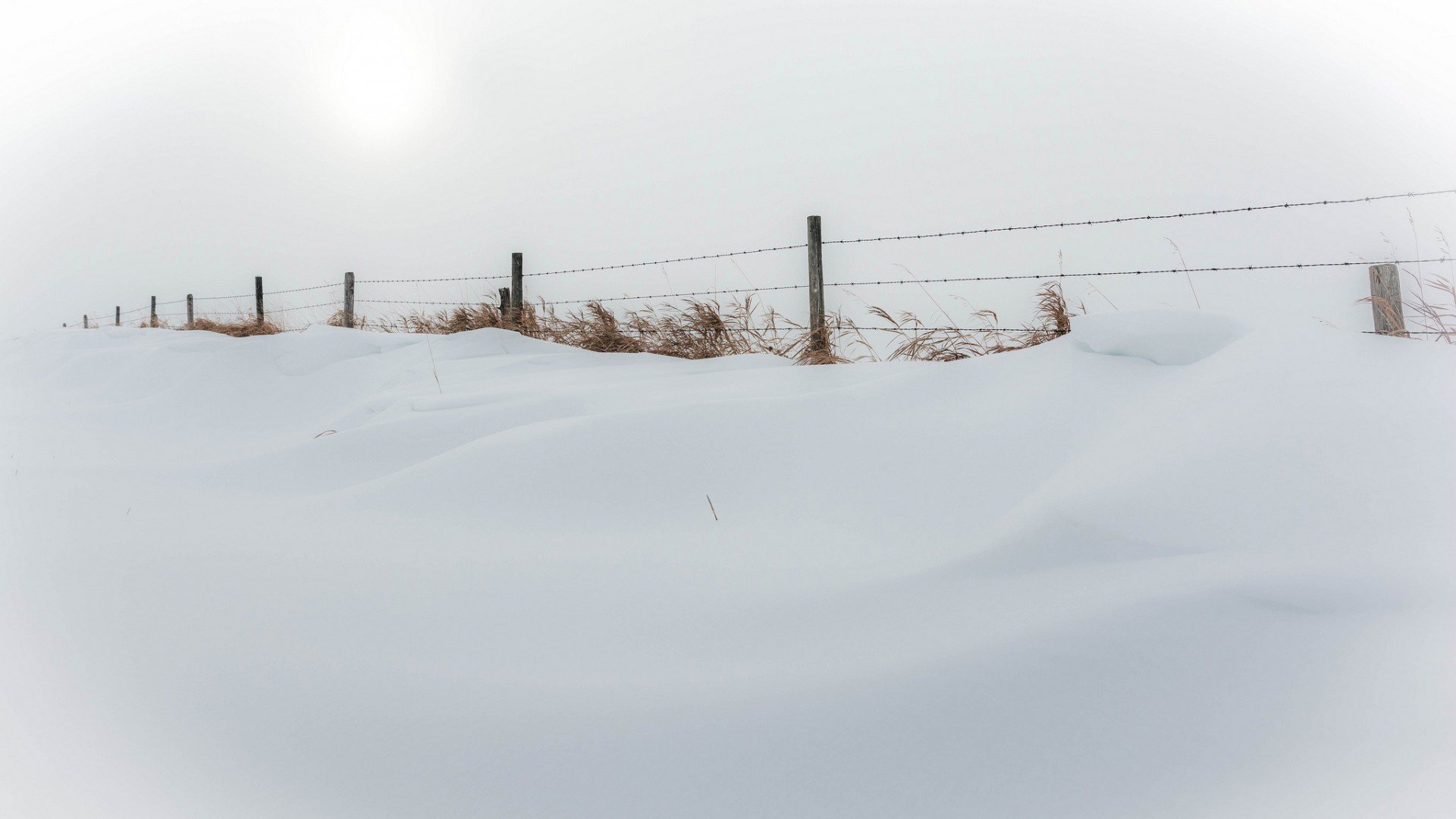 风景,冰天雪地,雪景