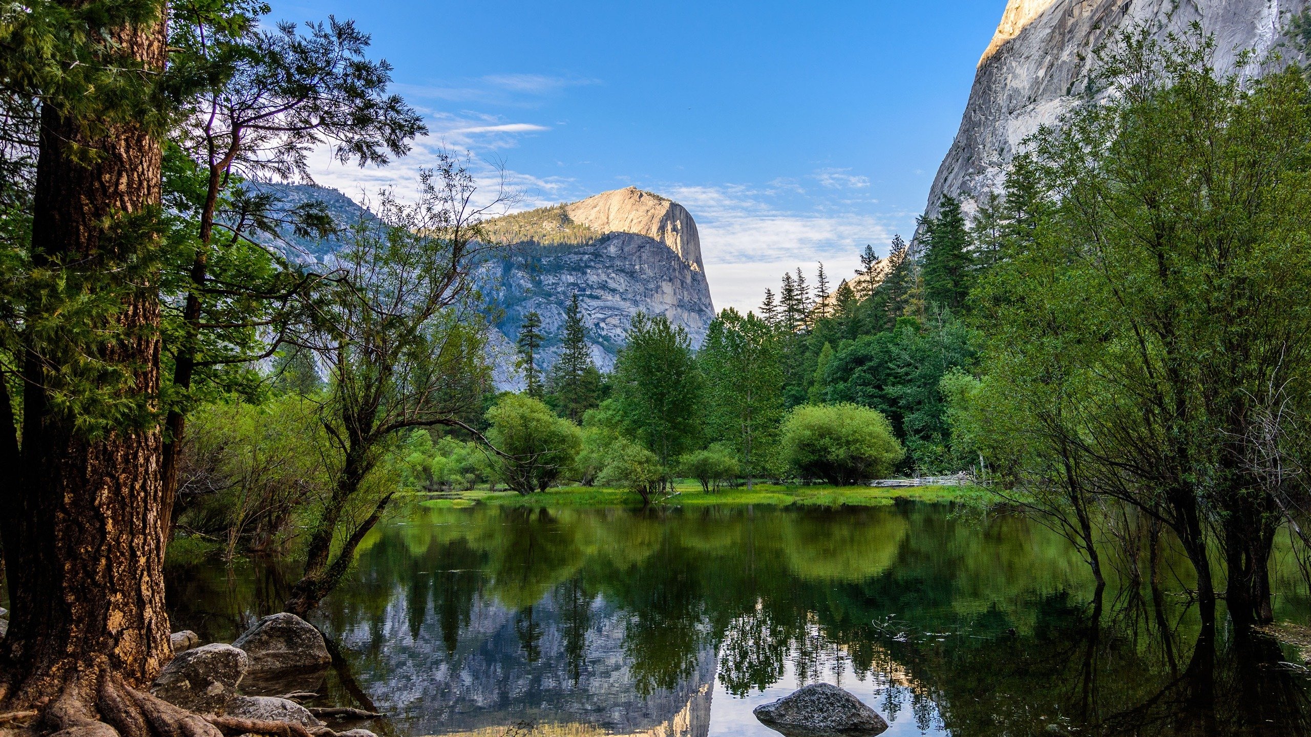 风景,2K,自然风光,森林,国家公园