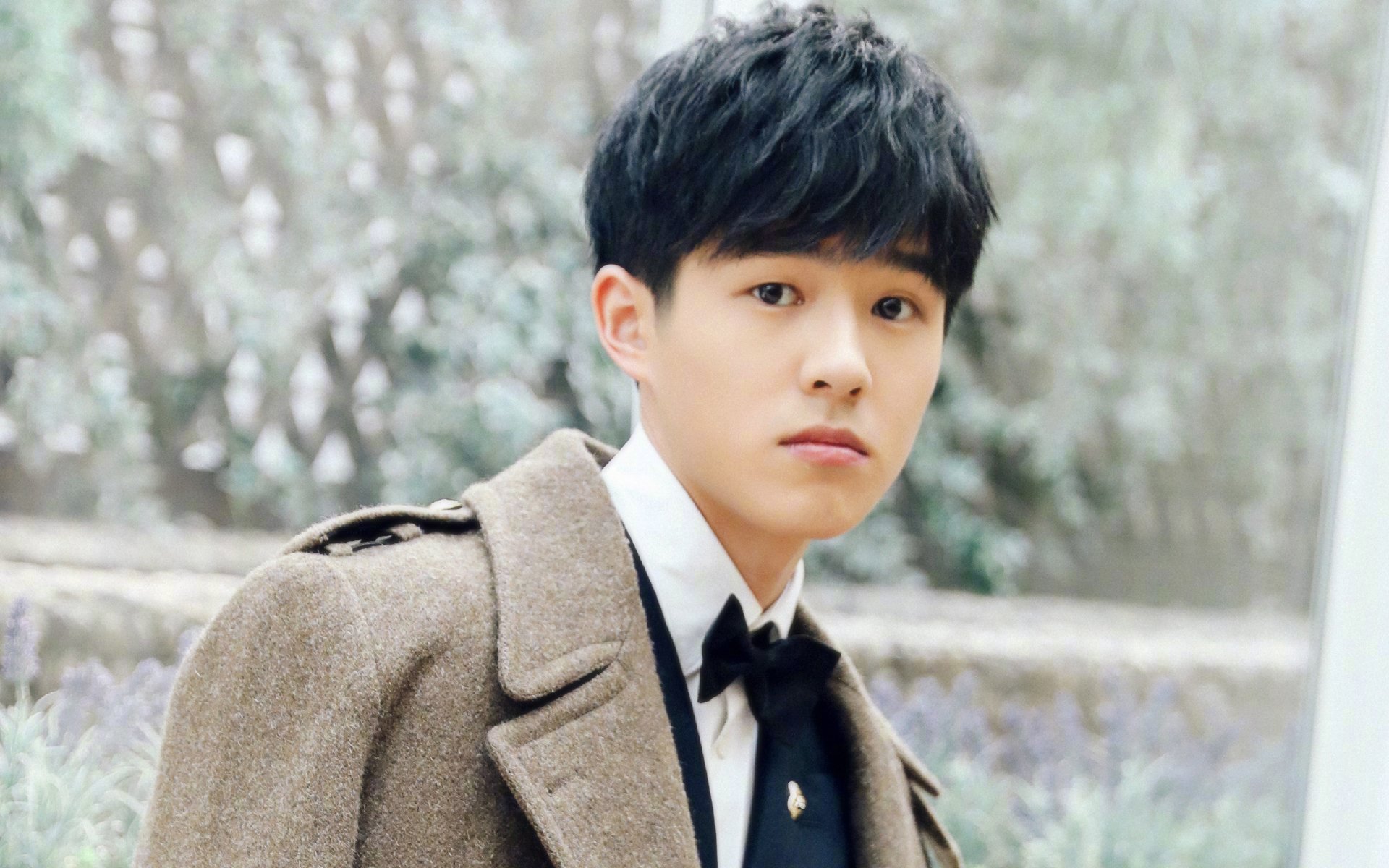 内地明星,刘昊然