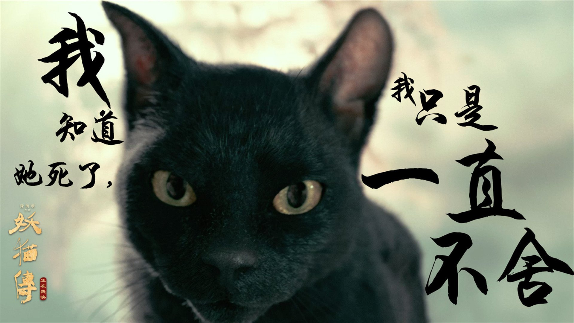 影视,电影,妖猫传