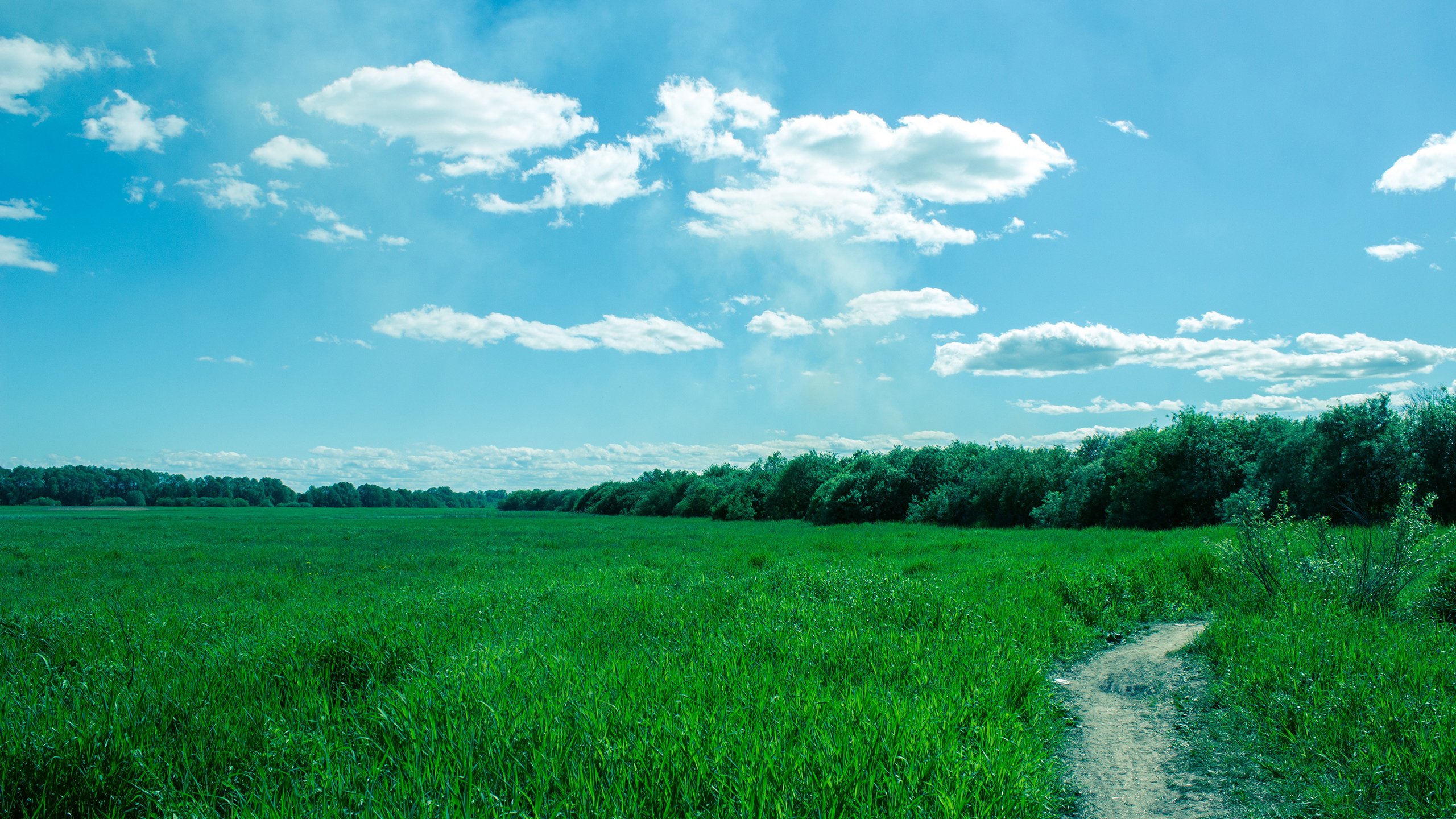 风景,蓝天白云,草地