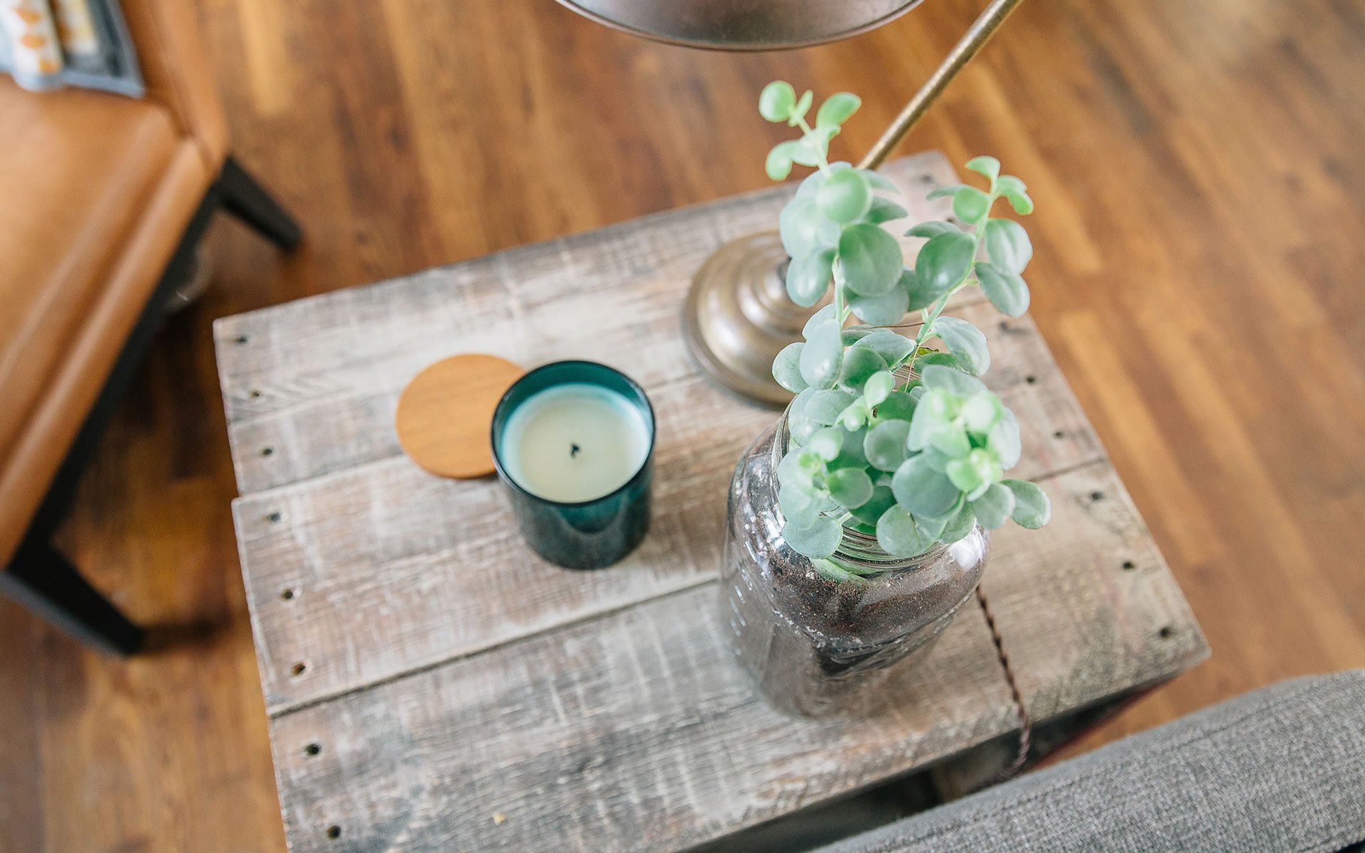 小清晰,家居,植物